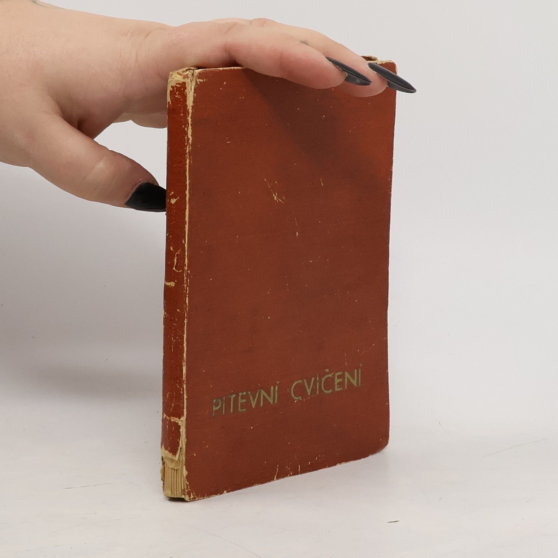 Autorenkollektiv Pitevní cvičení