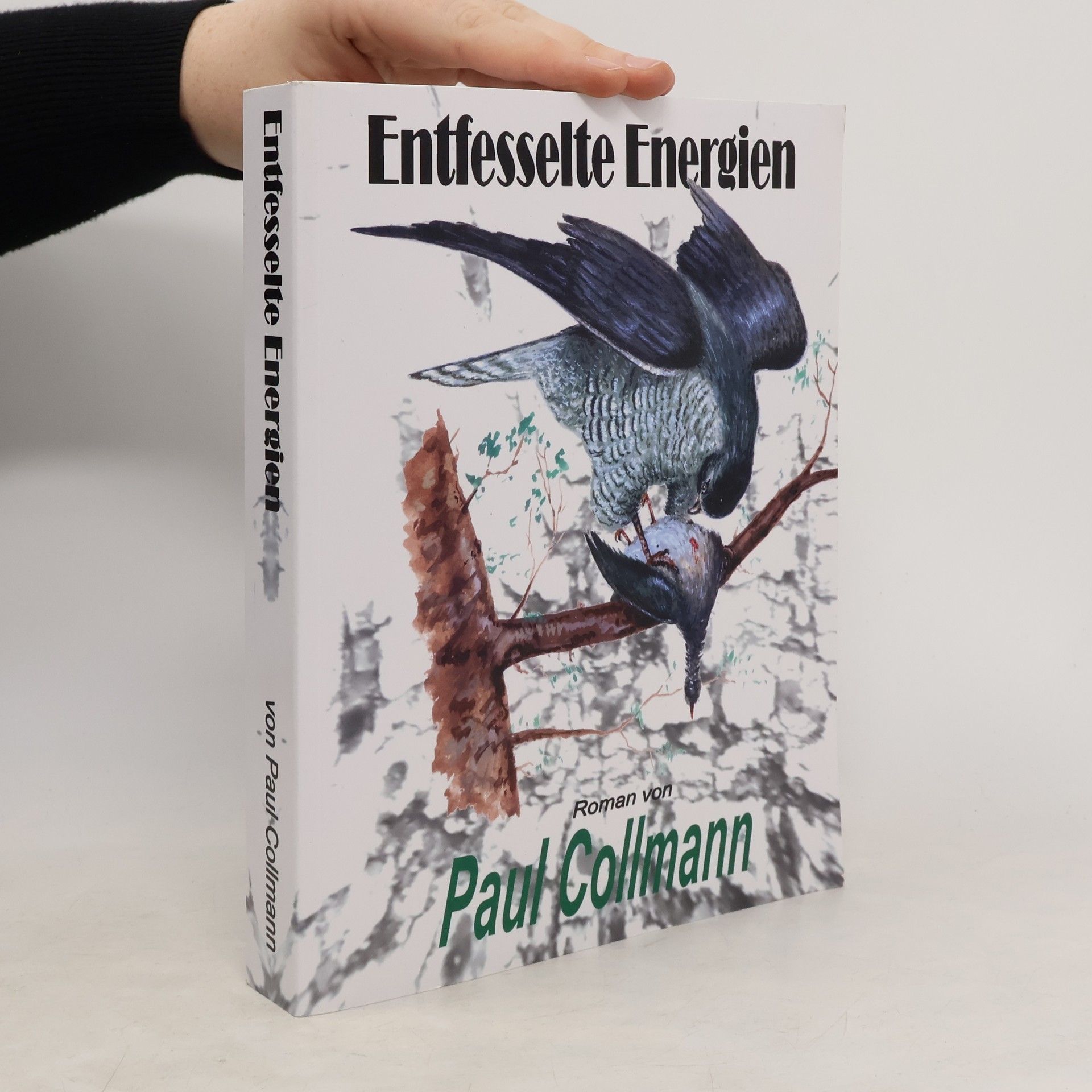 Paul Collmann Entfesselte Energien