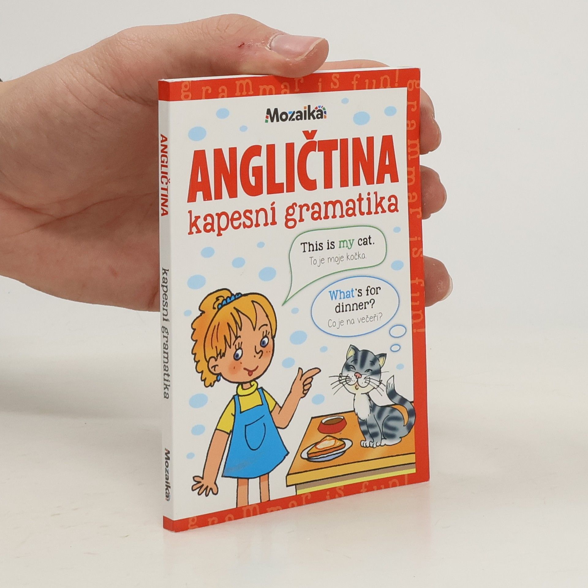 Angličtina - kapesní gramatika