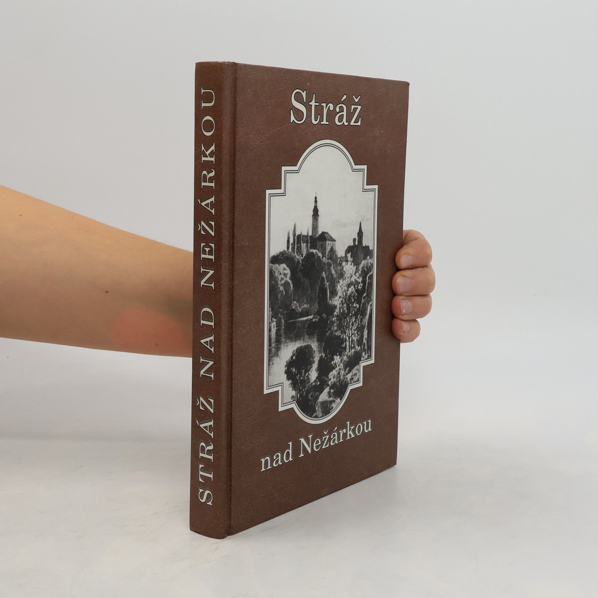 Miroslav Hule Stráž nad Nežárkou. Historie města do roku 2002