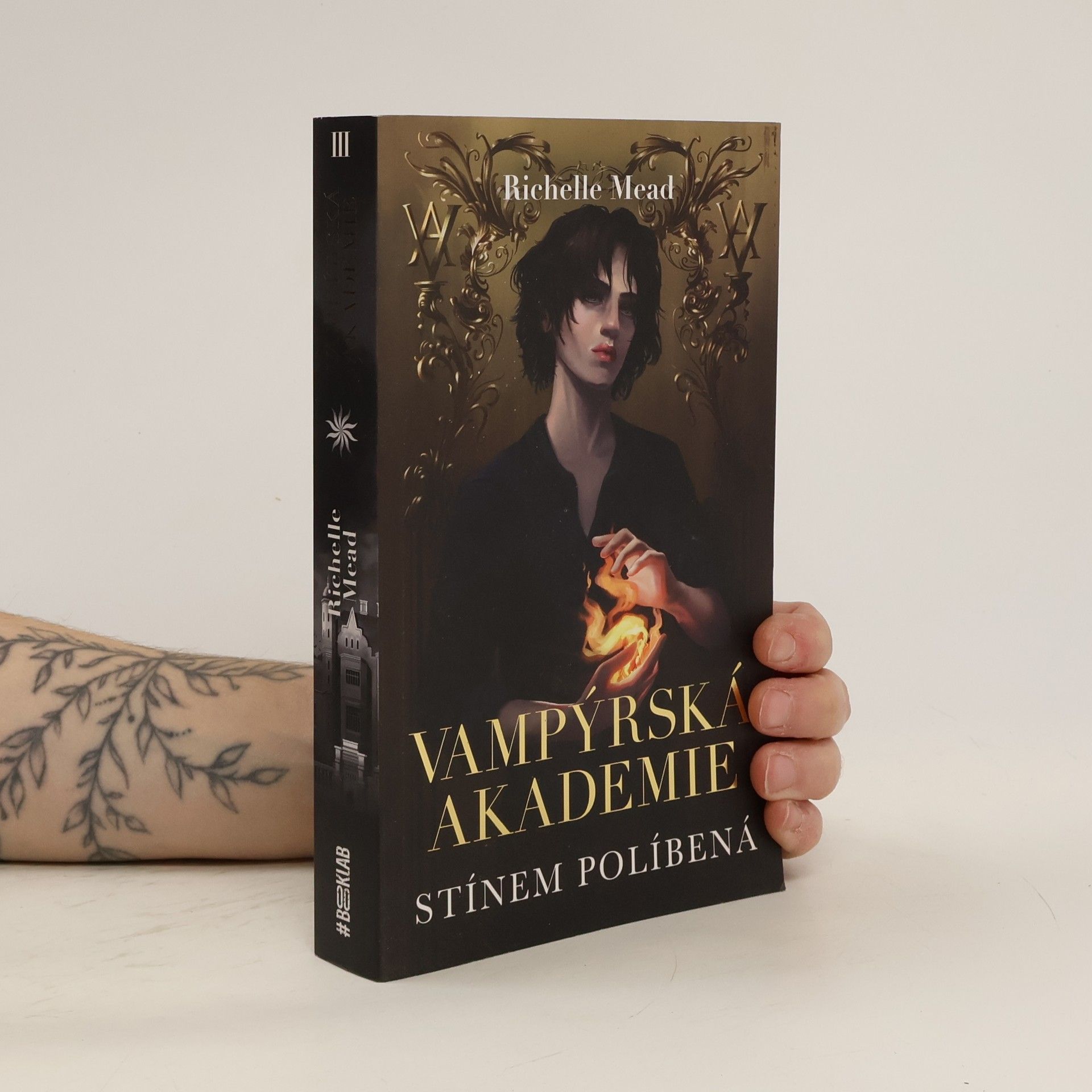 Richelle Mead Vampýrská akademie. Stínem políbená