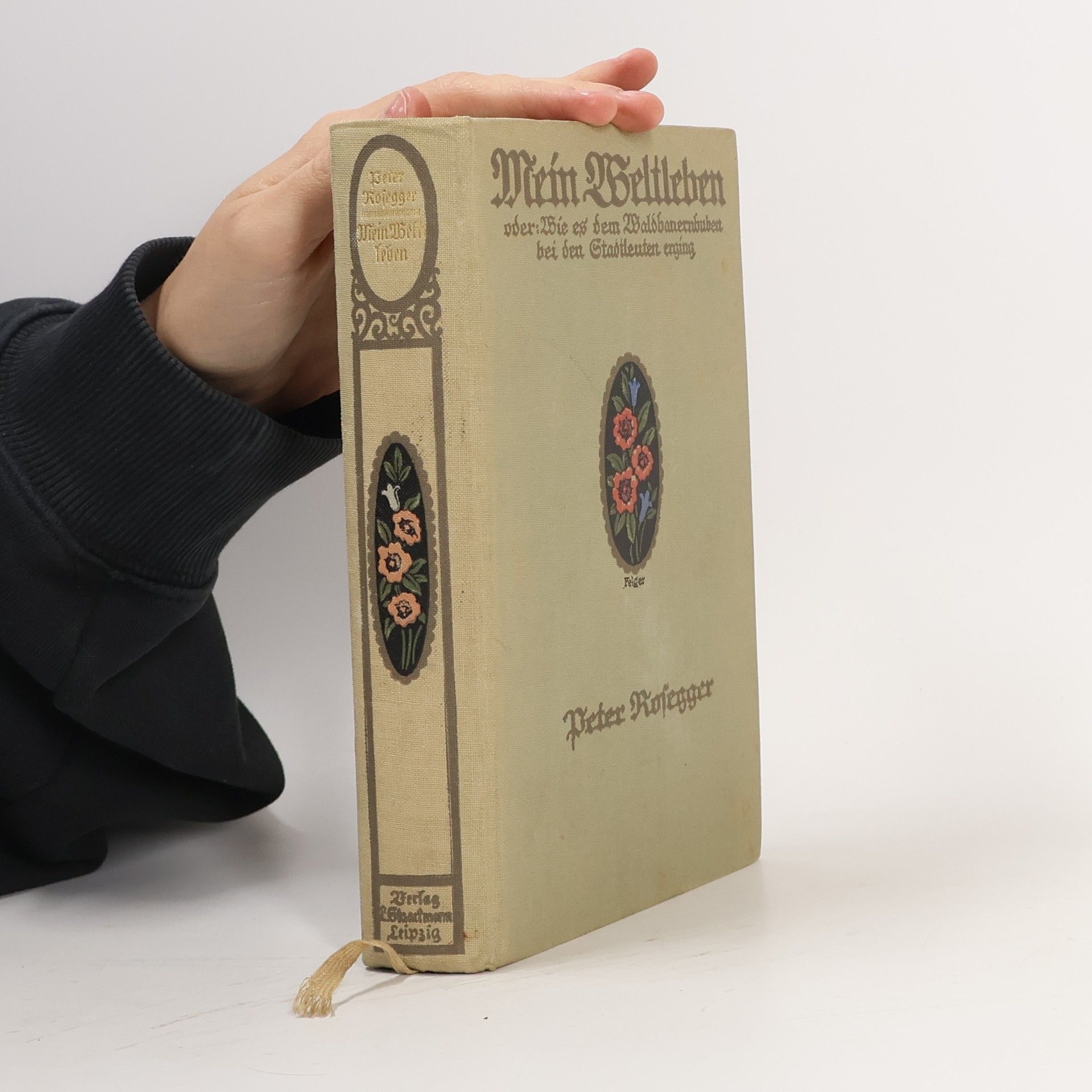 Peter Rosegger Mein Weltleben