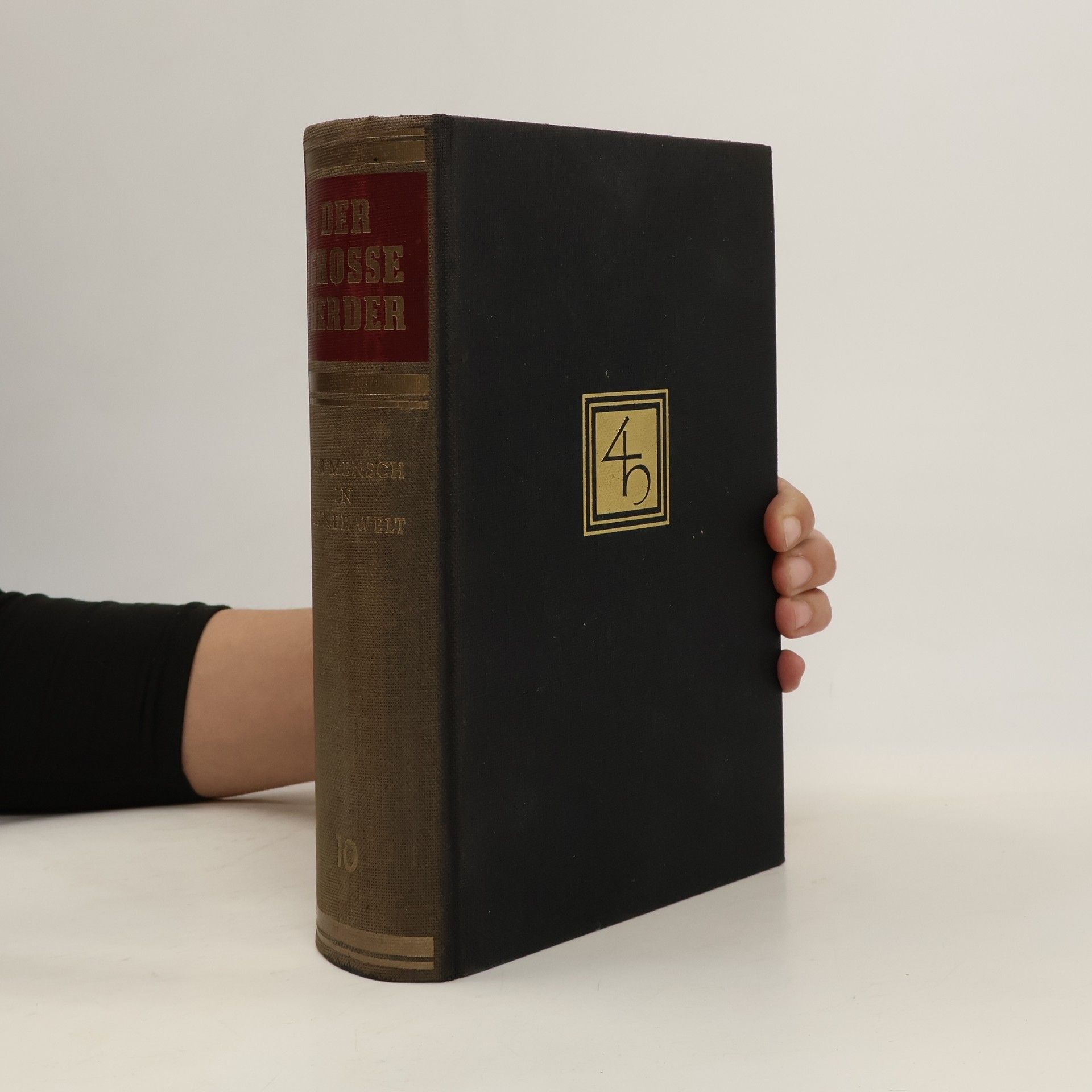 Collectif d'auteurs Der grosse Herder 10