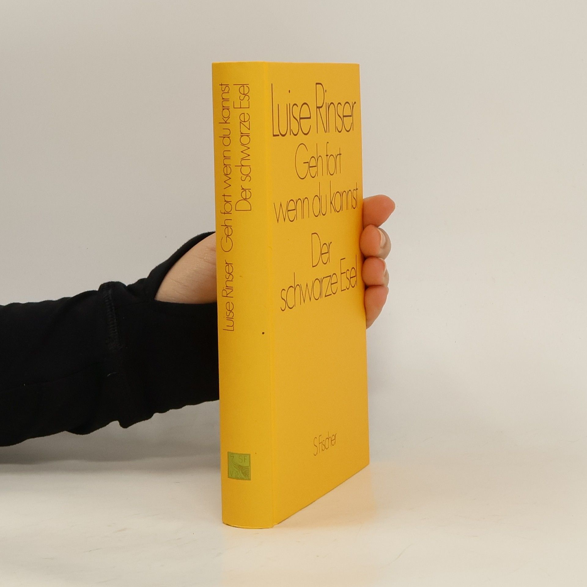 Luise Rinser Geh fort, wenn Du kannst / Der schwarze Esel