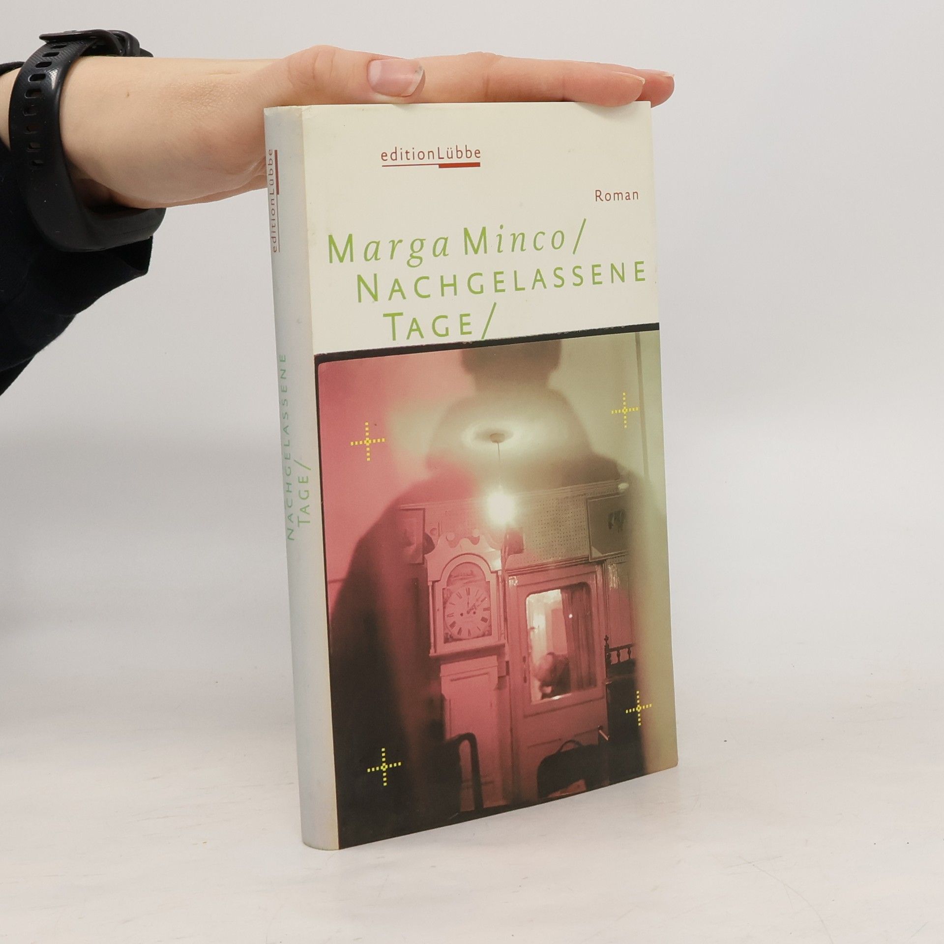 Marga Minco Nachgelassene Tage