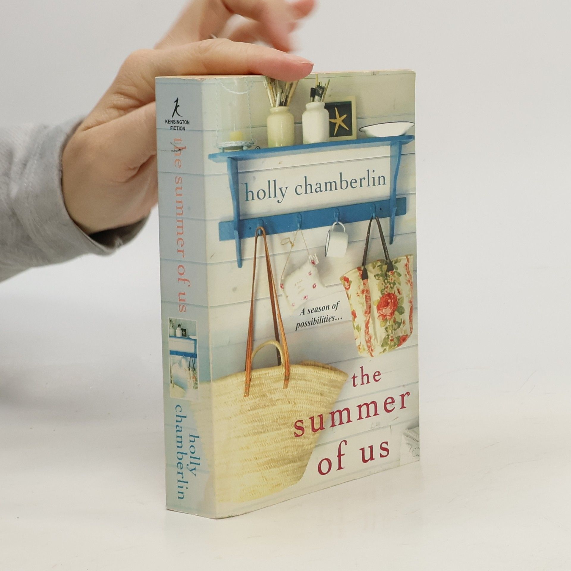 Holly Chamberlin Summer of Us