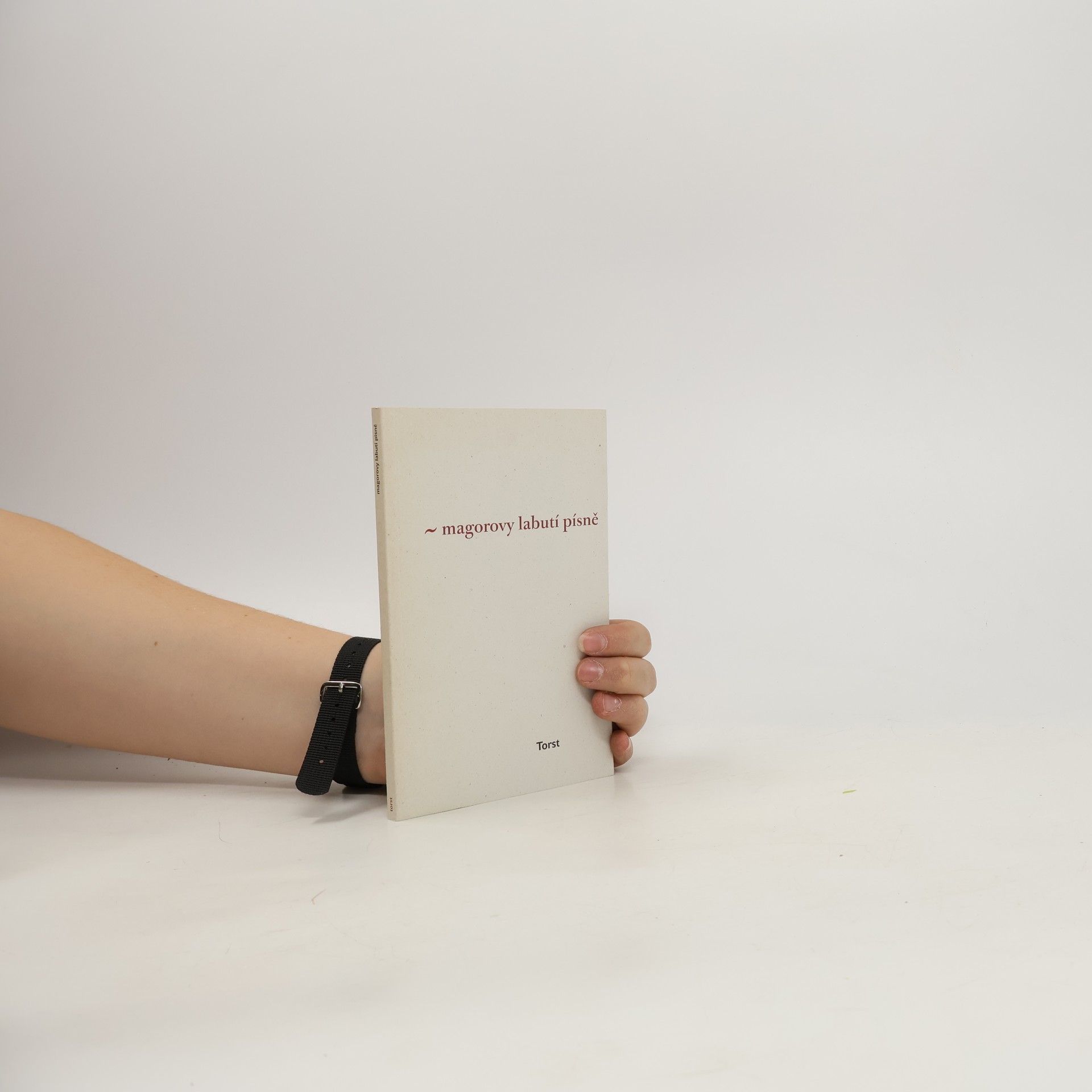 Ivan Martin Jirous Magorovy labutí písně