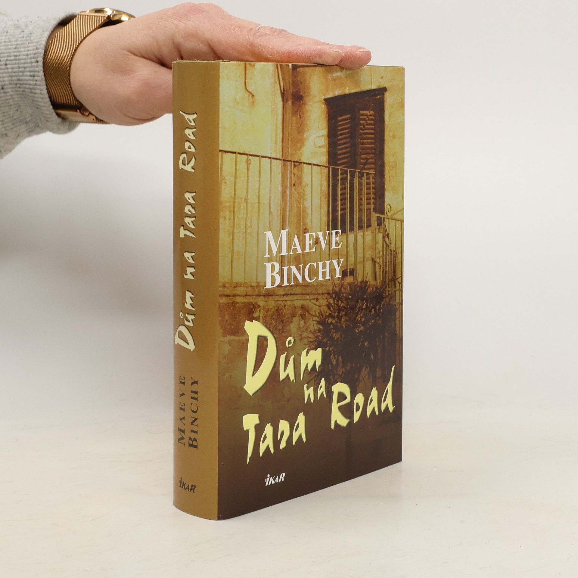 Maeve Binchy Dům na Tara Road