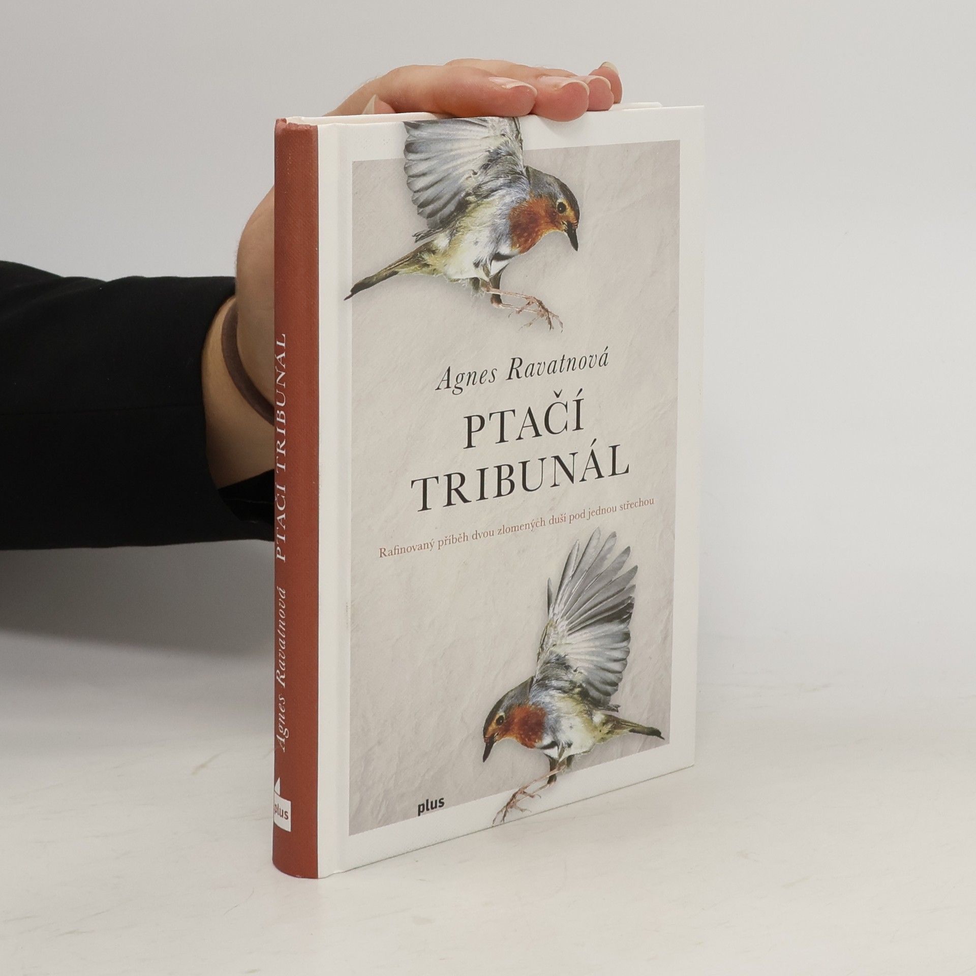 Agnes Ravatn Ptačí tribunál