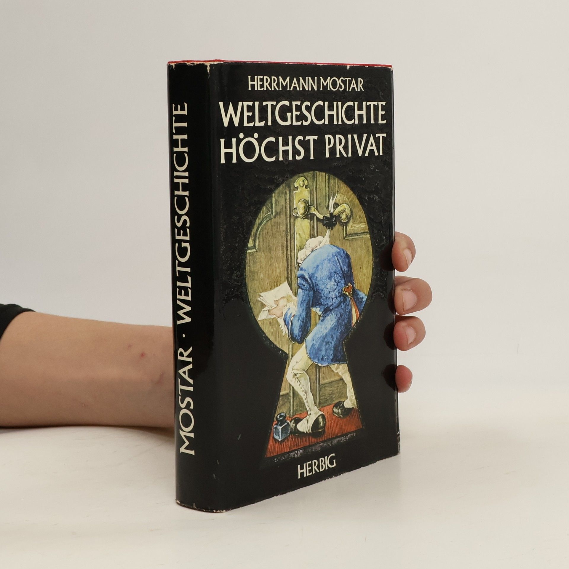 Herrmann Mostar Weltgeschichte höchst privat