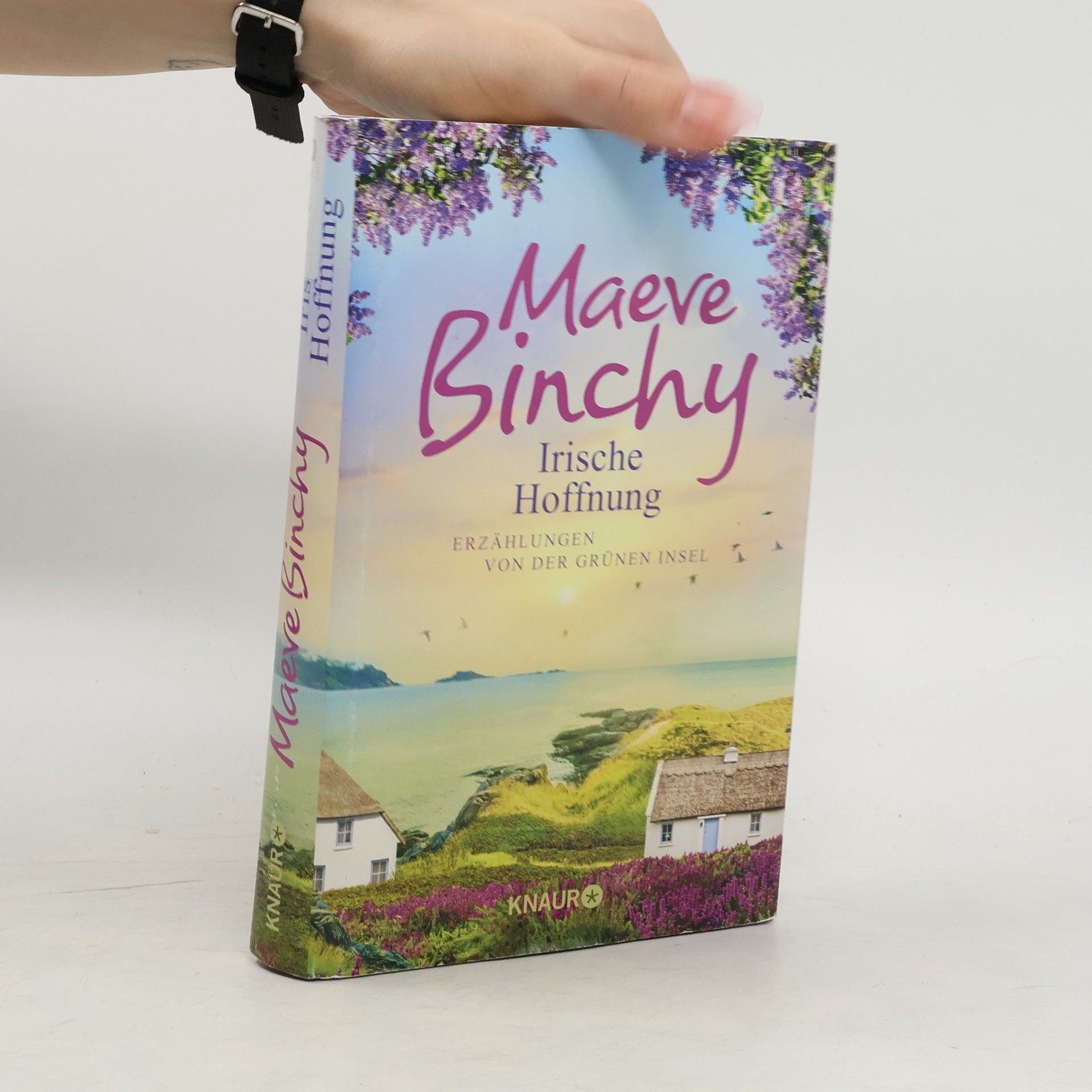 Maeve Binchy Irische Hoffnung