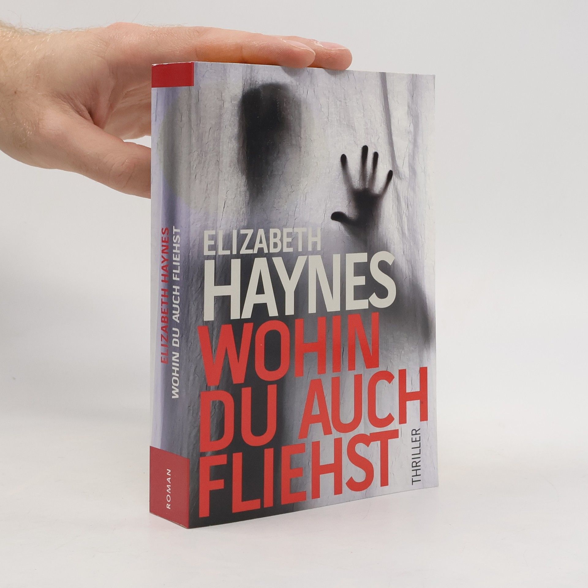Elizabeth Haynes Wohin du auch fliehst