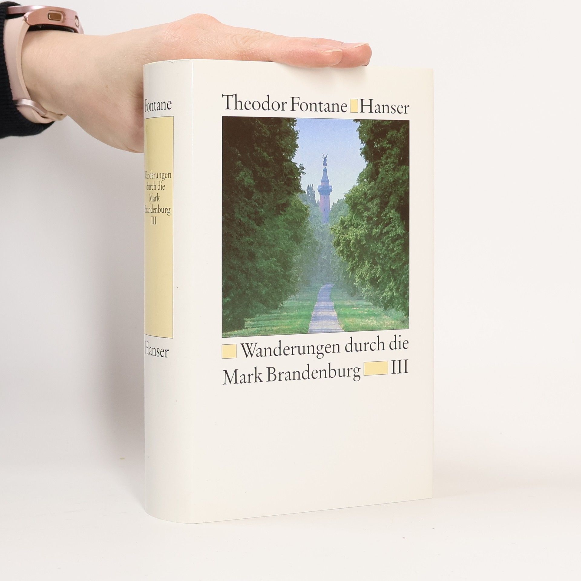 Theodor Fontane Wanderungen durch die Mark Brandenburg. Band 1