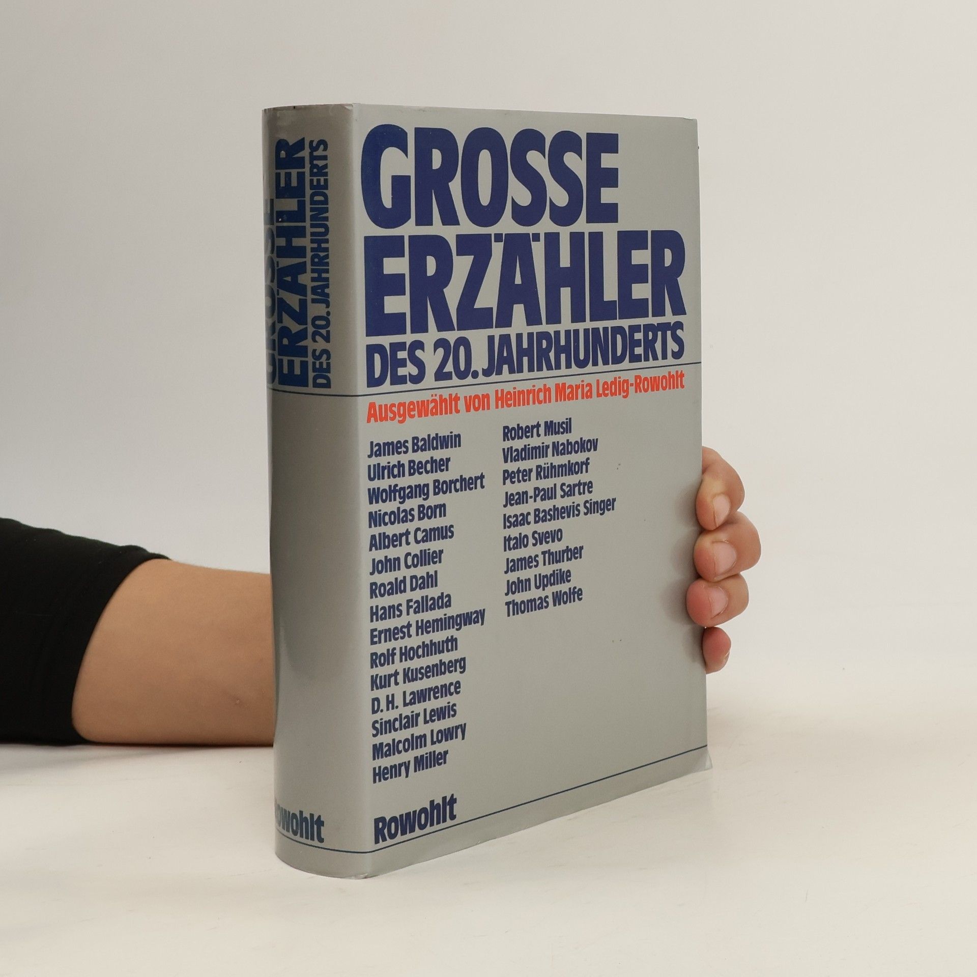 Auteurscollectief Grosse Erzähler des 20. Jahrhunderts