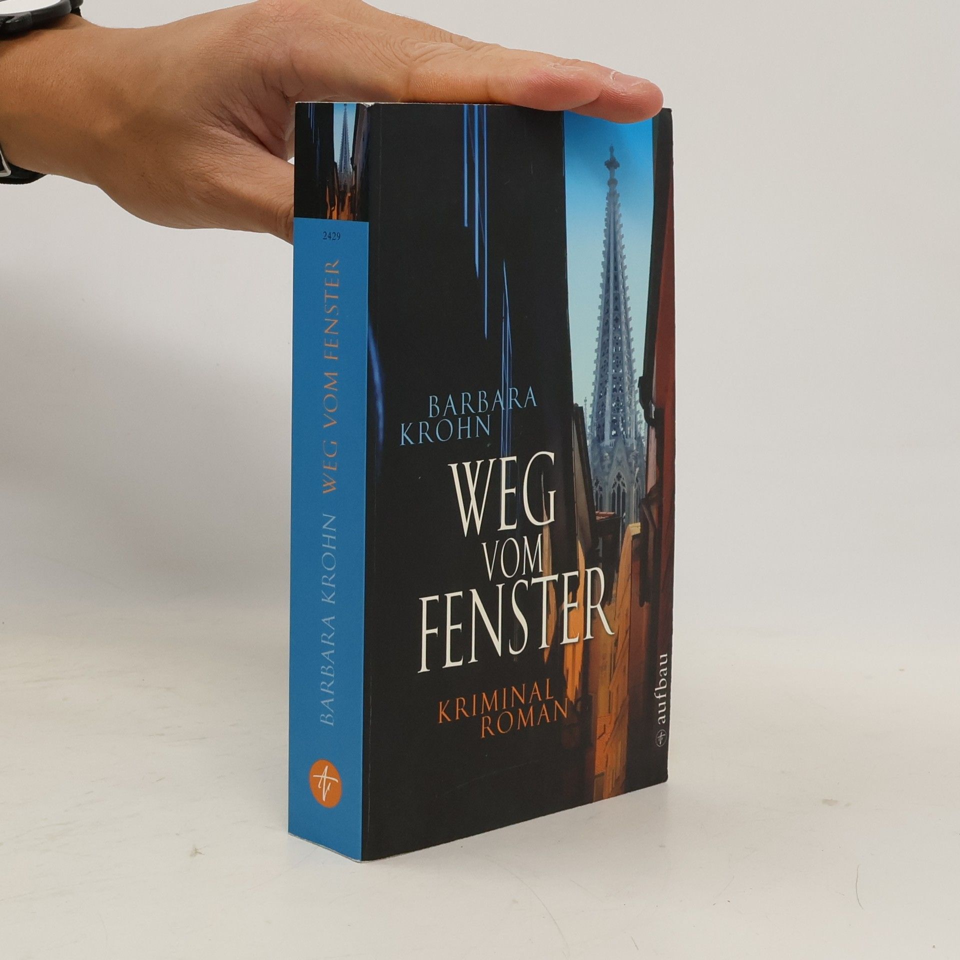 Barbara Krohn Weg vom Fenster