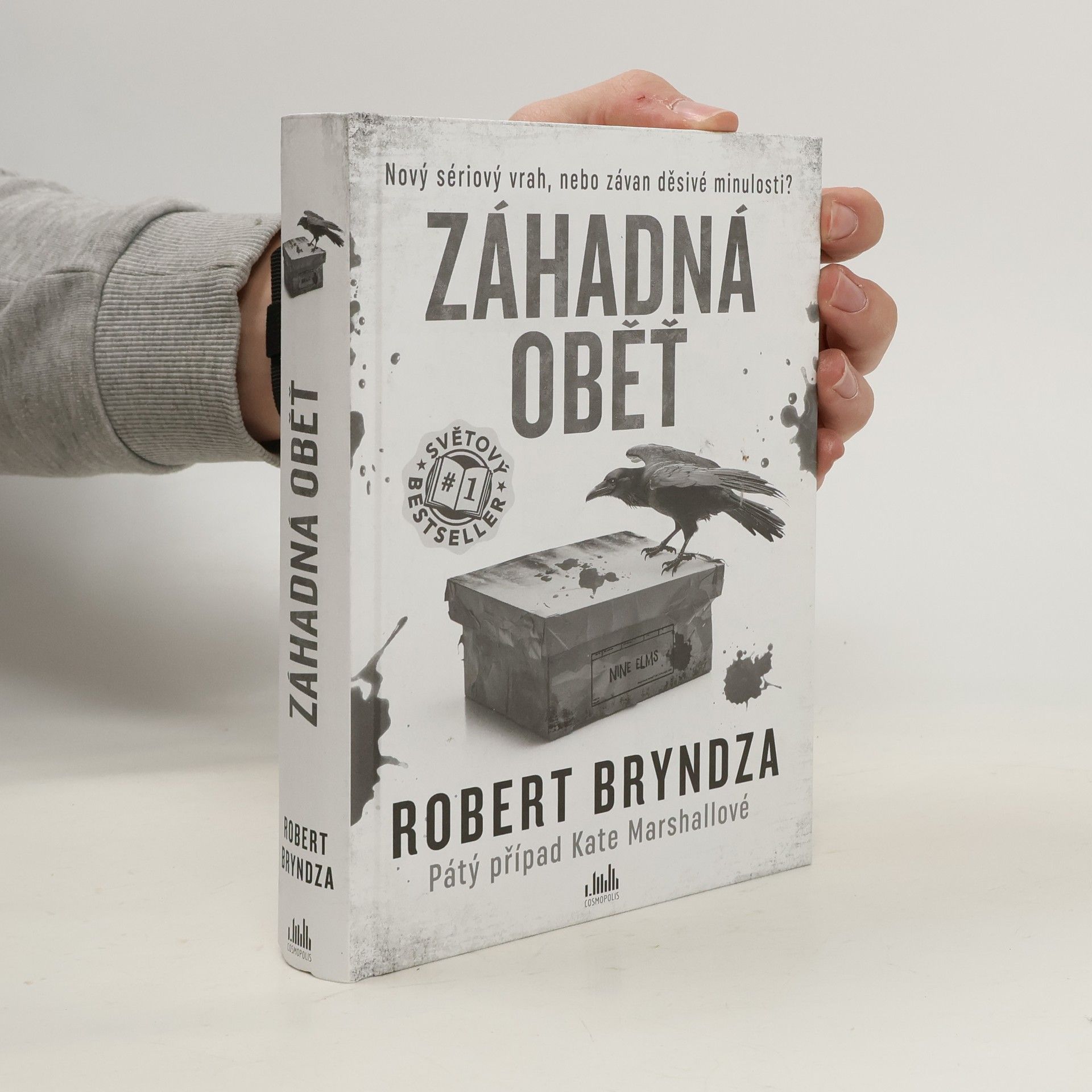 Robert Bryndza Záhadná oběť