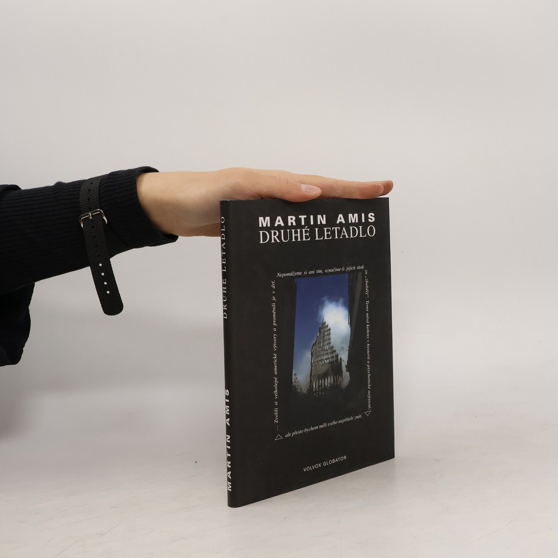 Martin Amis Druhé letadlo