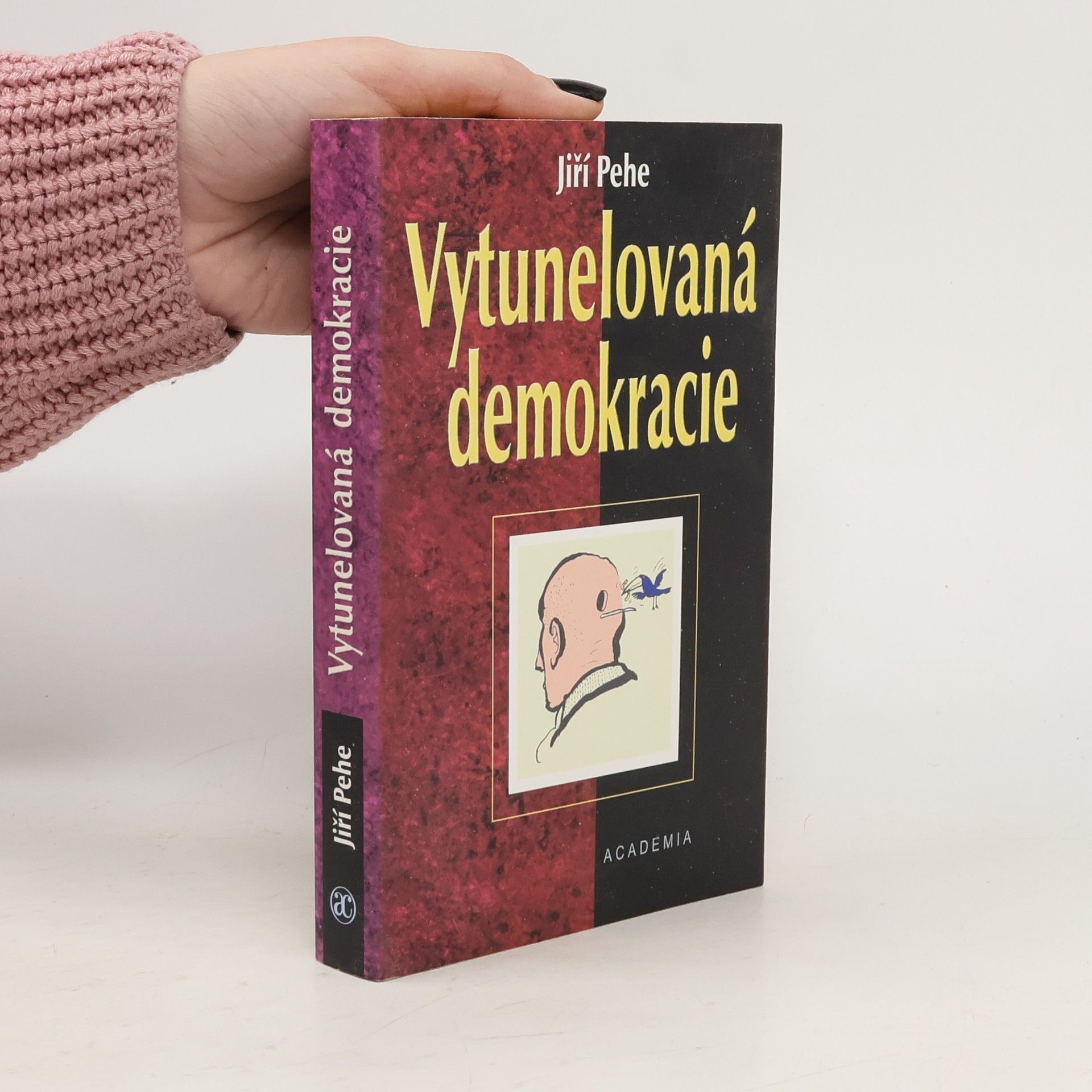 Vytunelovaná demokracie