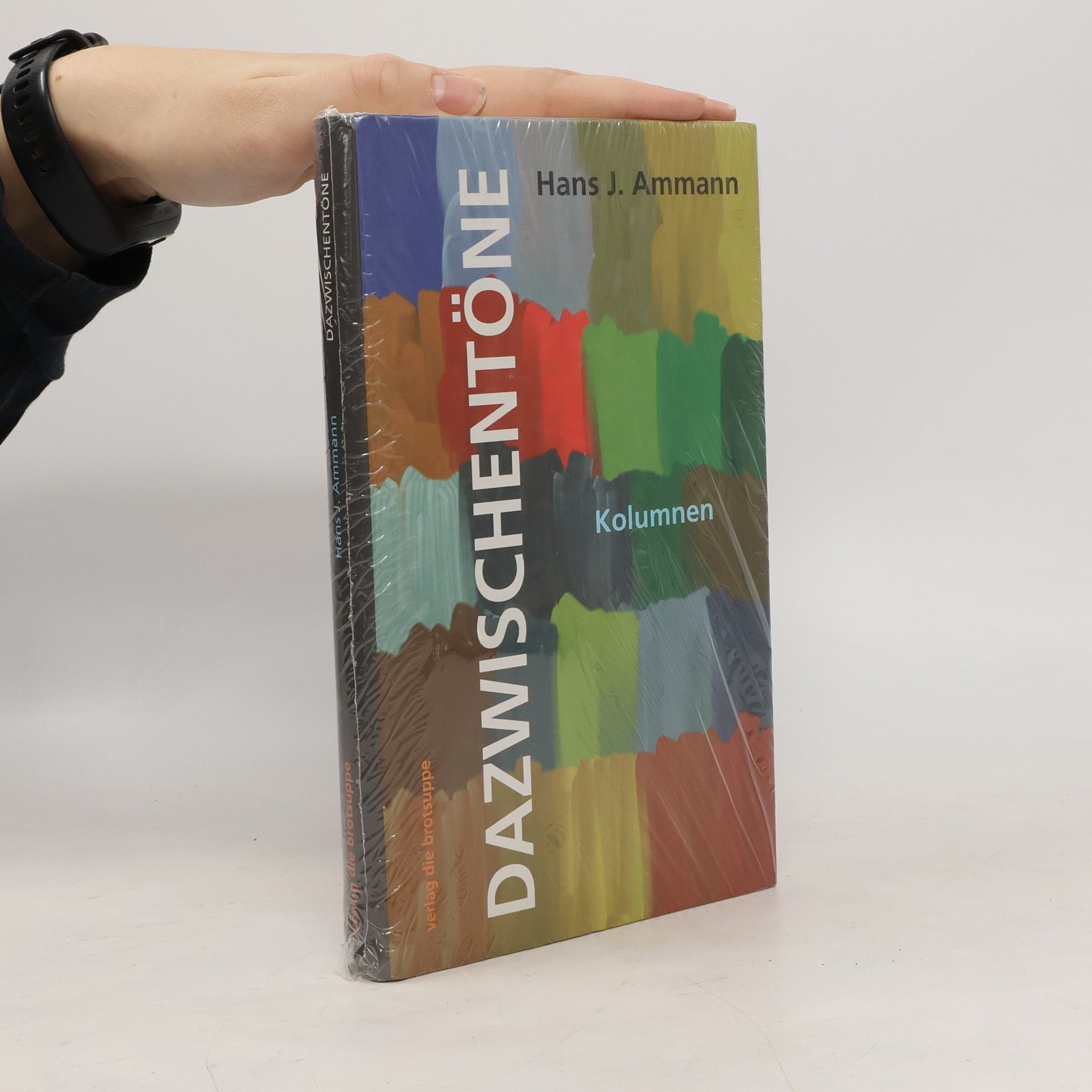 Hans J. Ammann Dazwischentöne