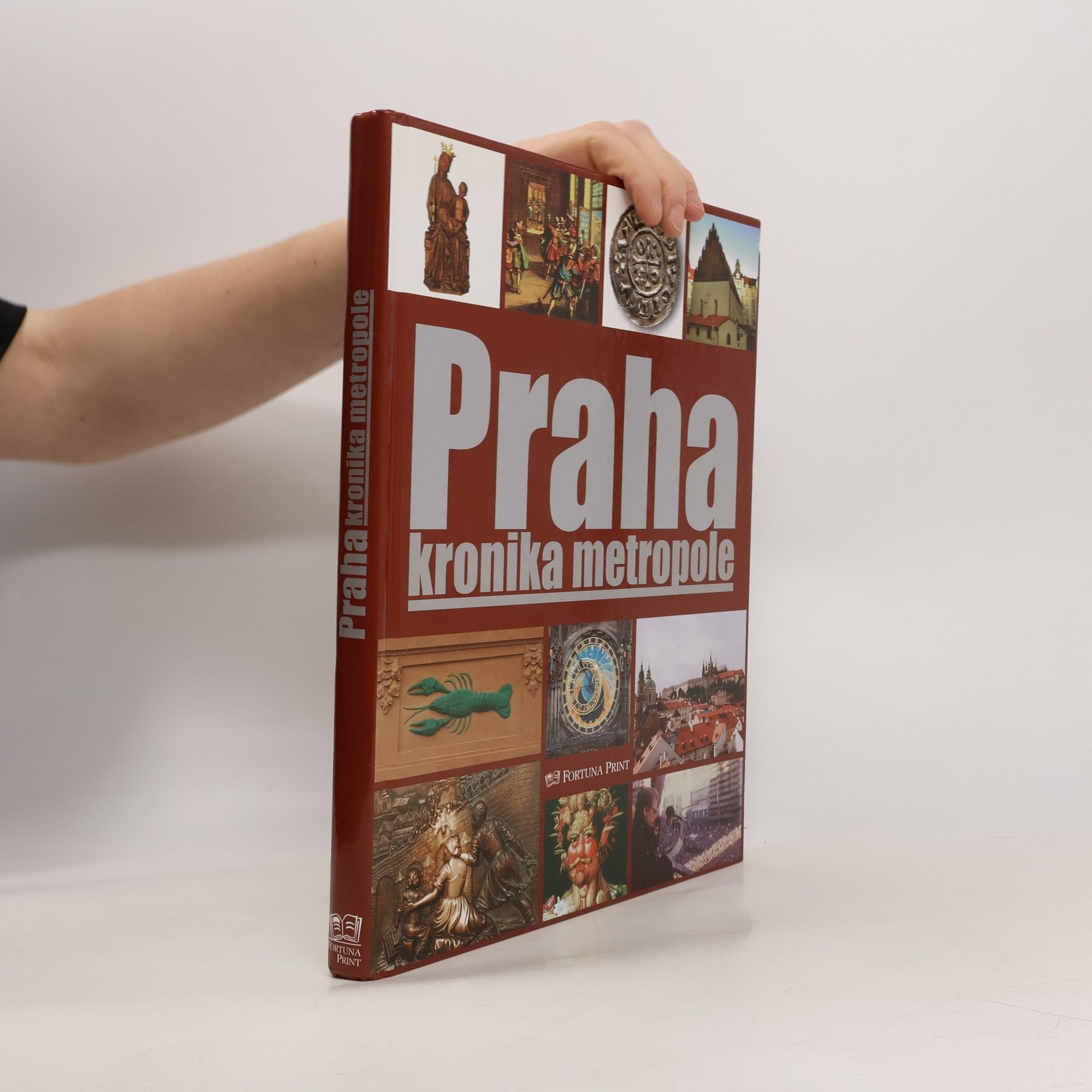 Pavel Bělina Praha : kronika metropole