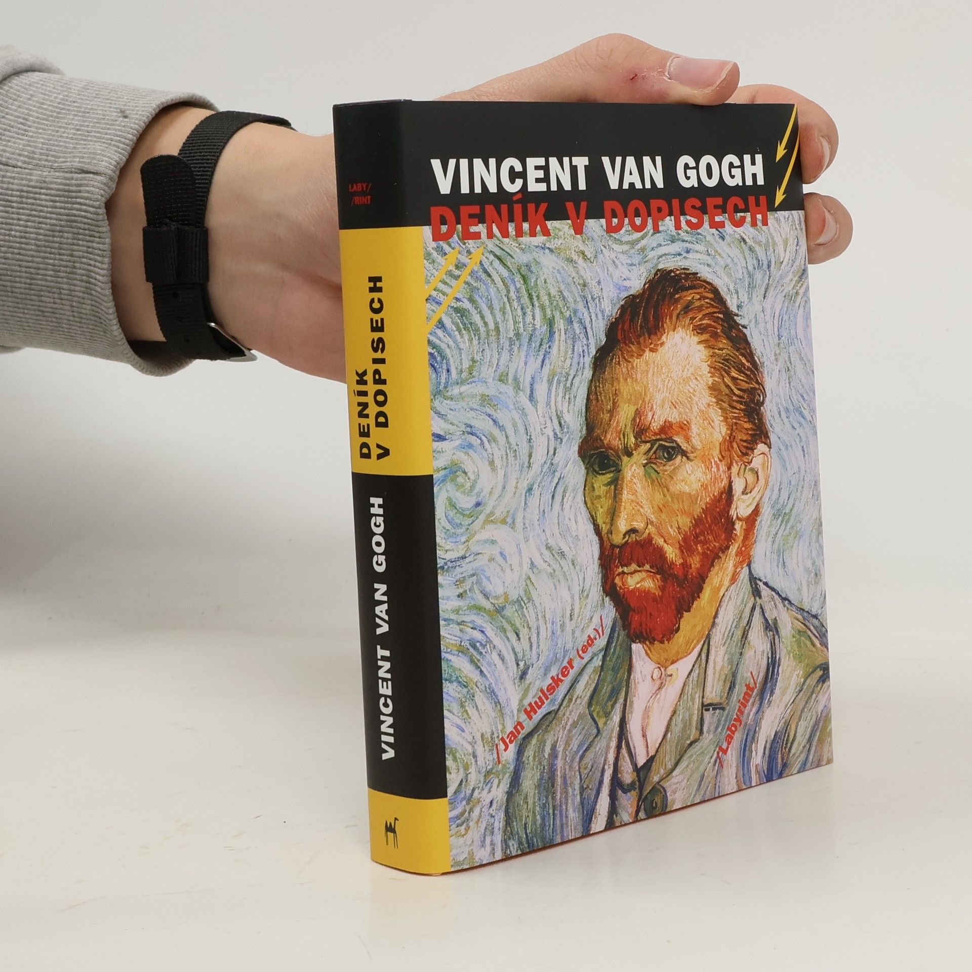 Vincent van Gogh Deník v dopisech