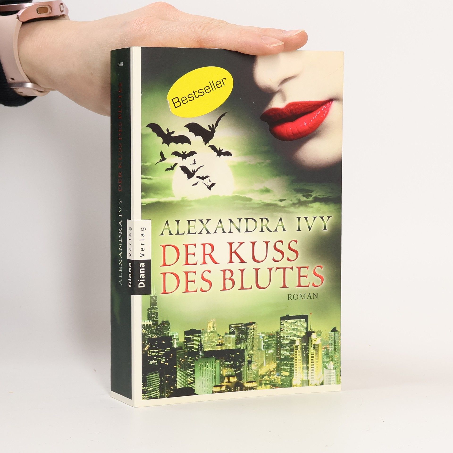 Alexandra Ivy Der Kuss des Blutes