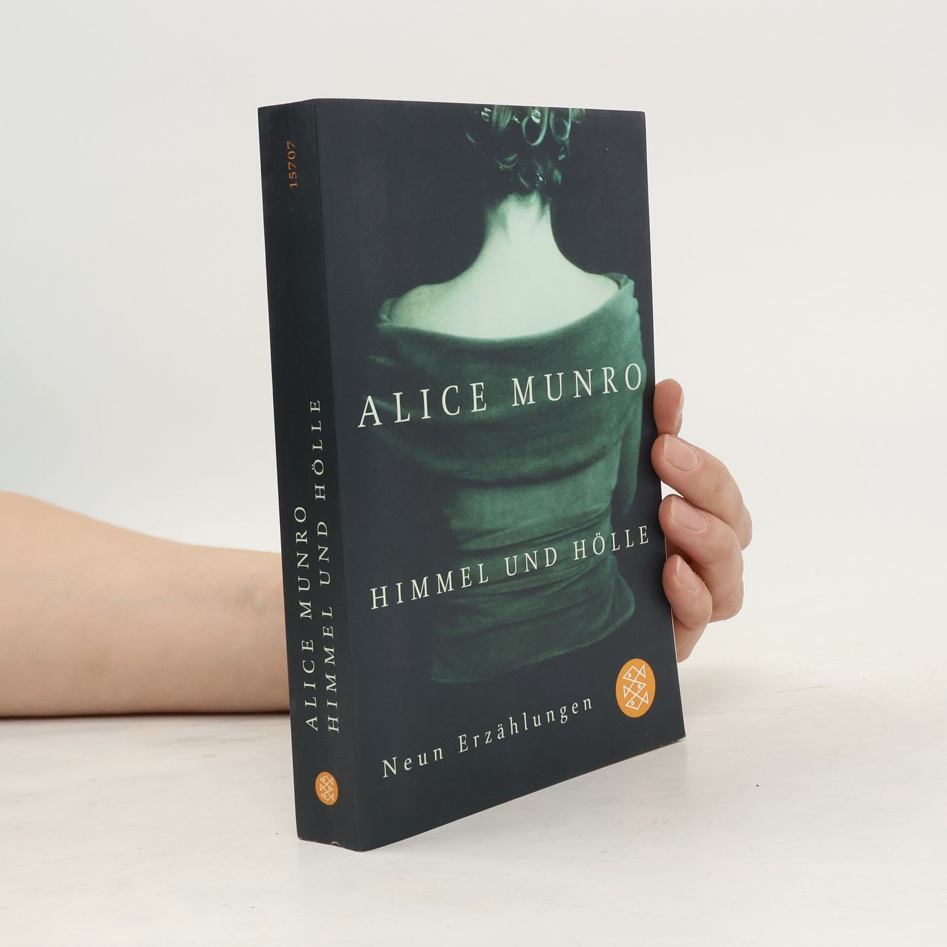 Alice Munro Himmel und Hölle