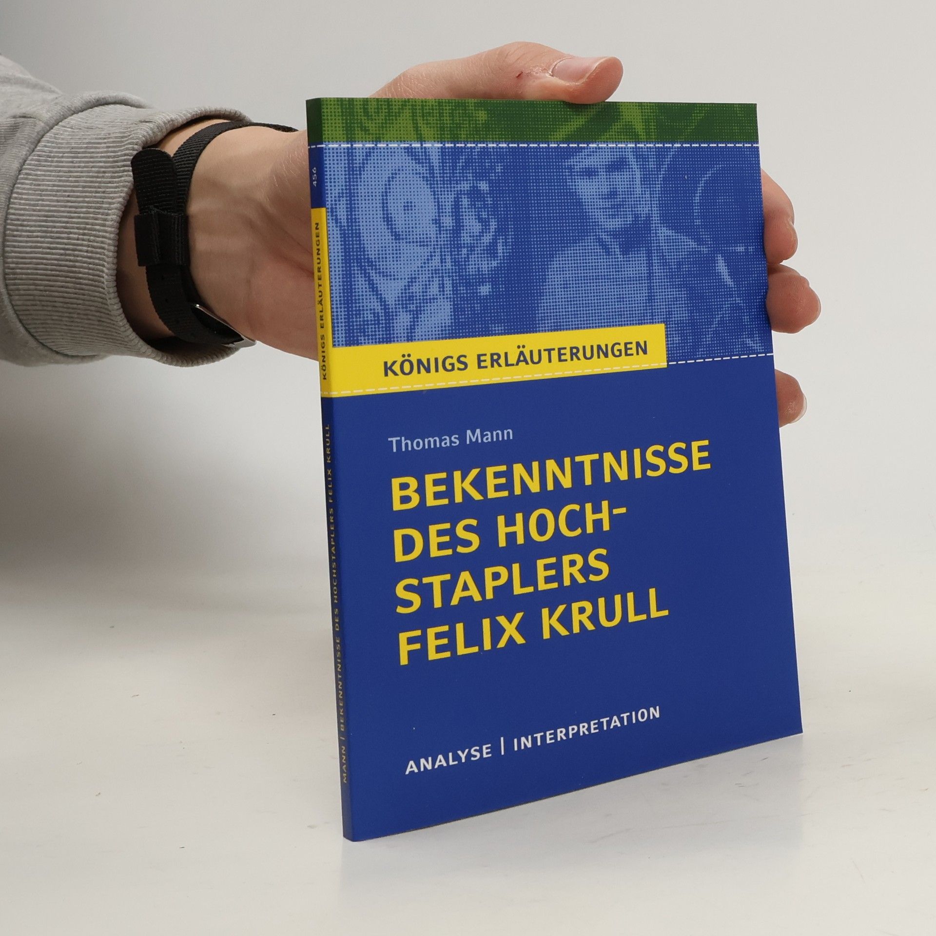 Kolektiv autorů Bekenntnisse des Hochstaplers Felix Krull