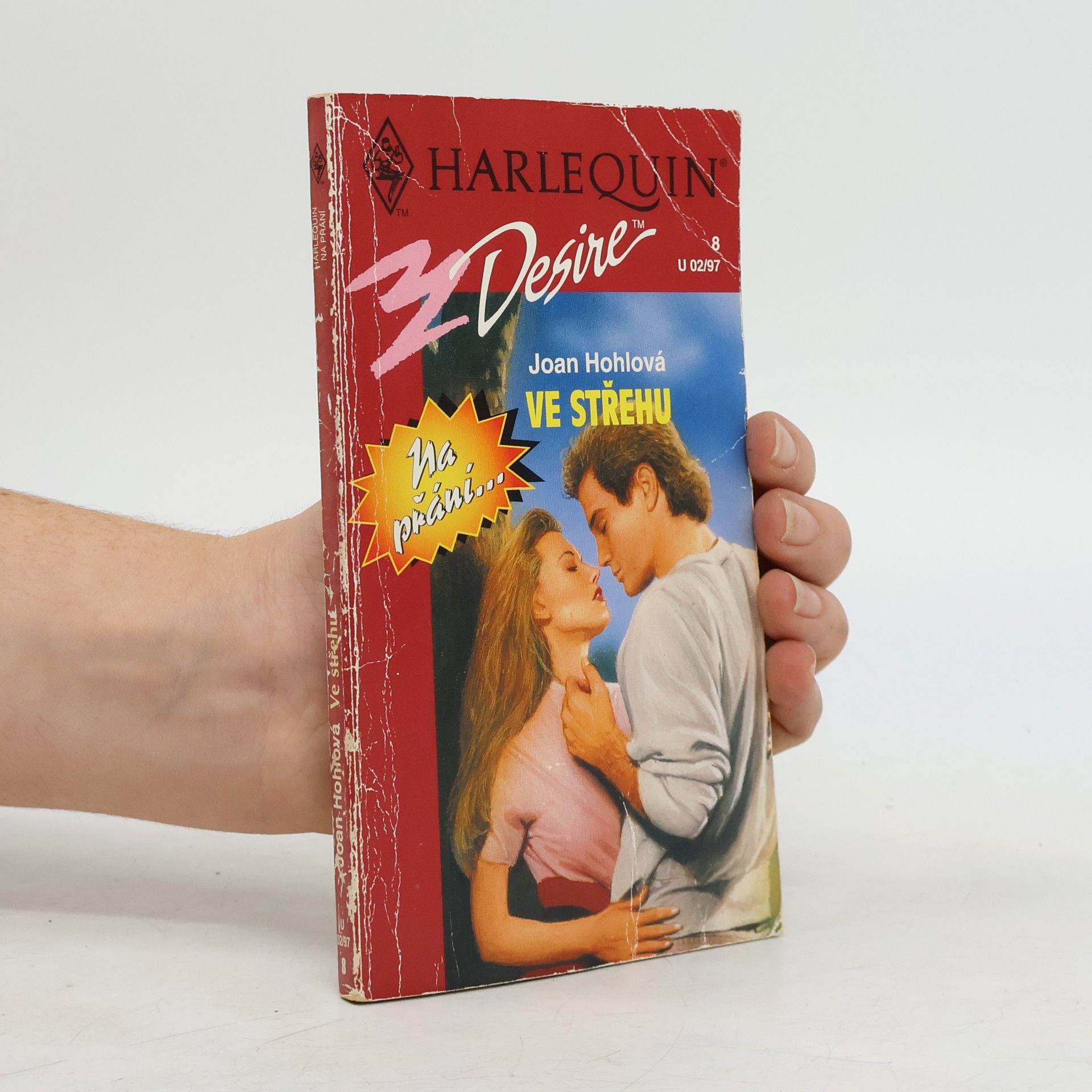 Joan Hohl Ve střehu