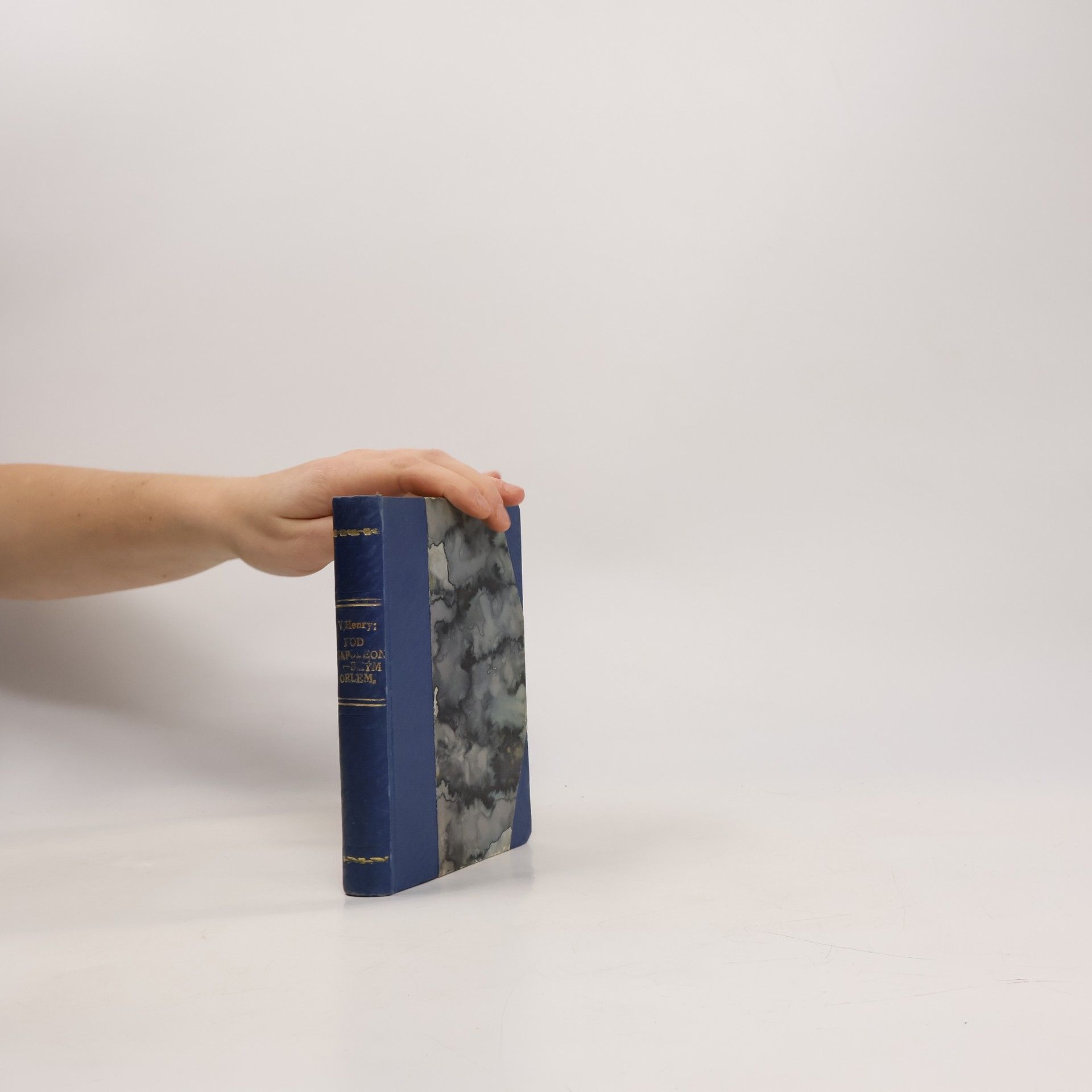 Pod napoleonským orlem