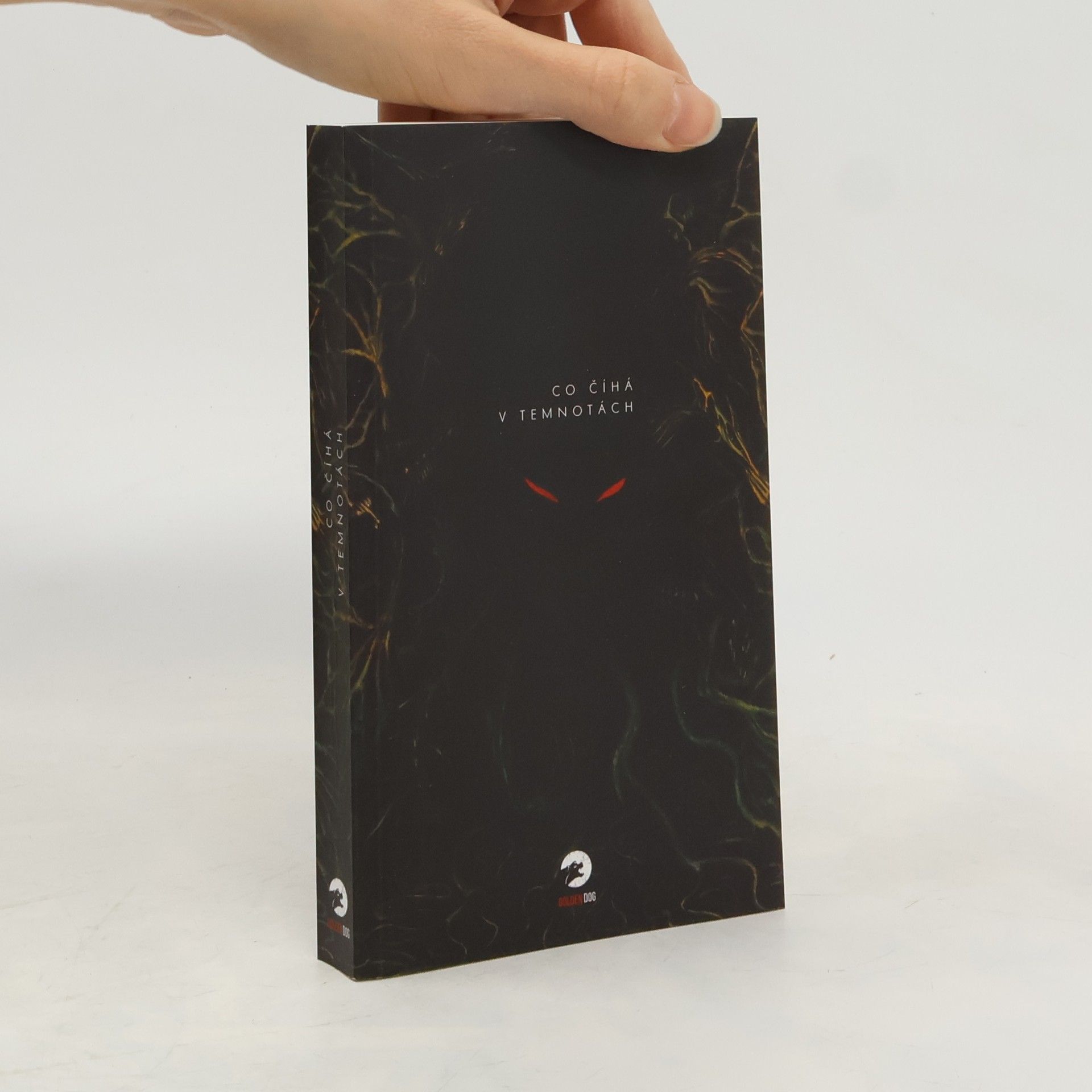 Kristina Haidingerová Co číhá v temnotách