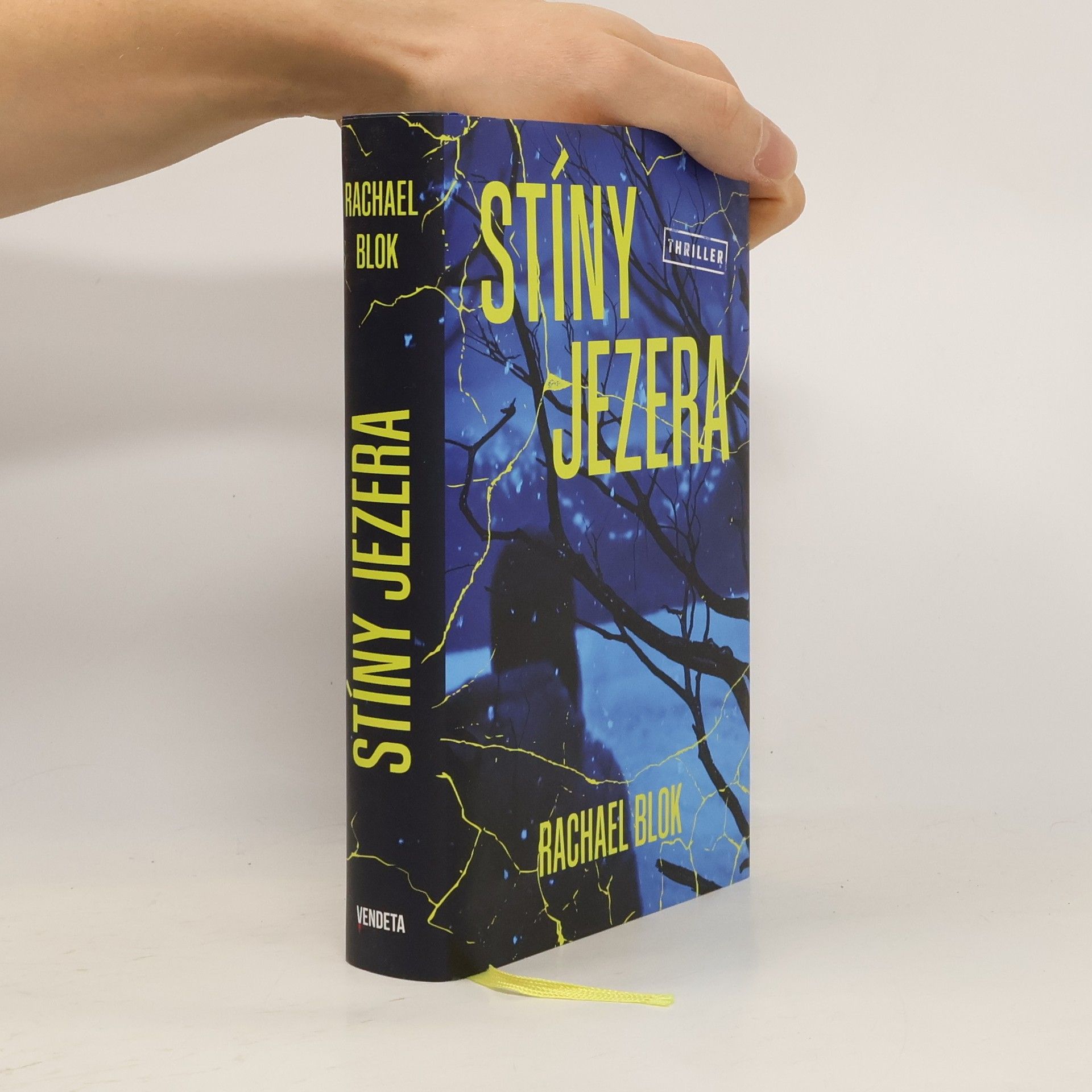 Rachael Blok Stíny jezera