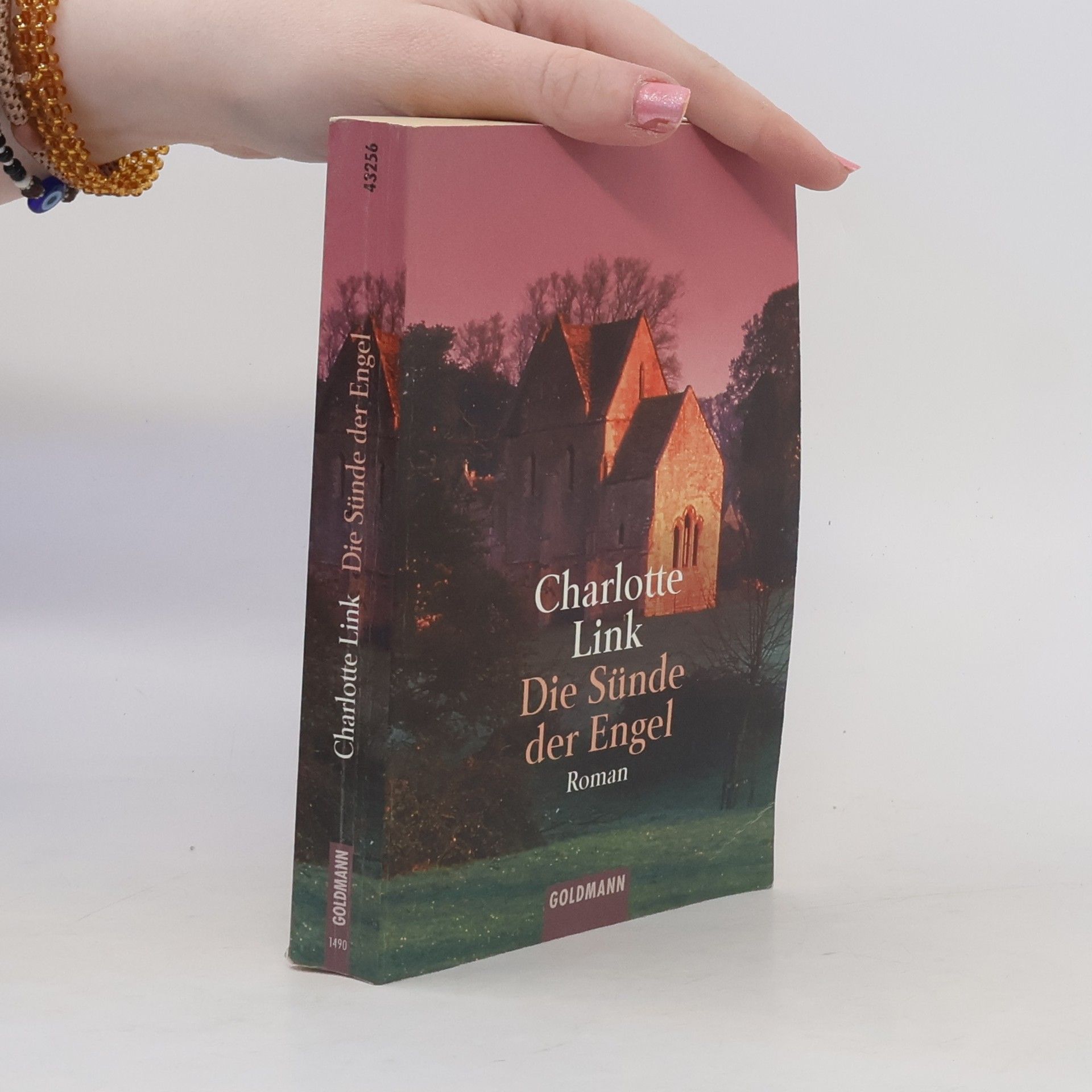 Charlotte Link Die Sünde der Engel