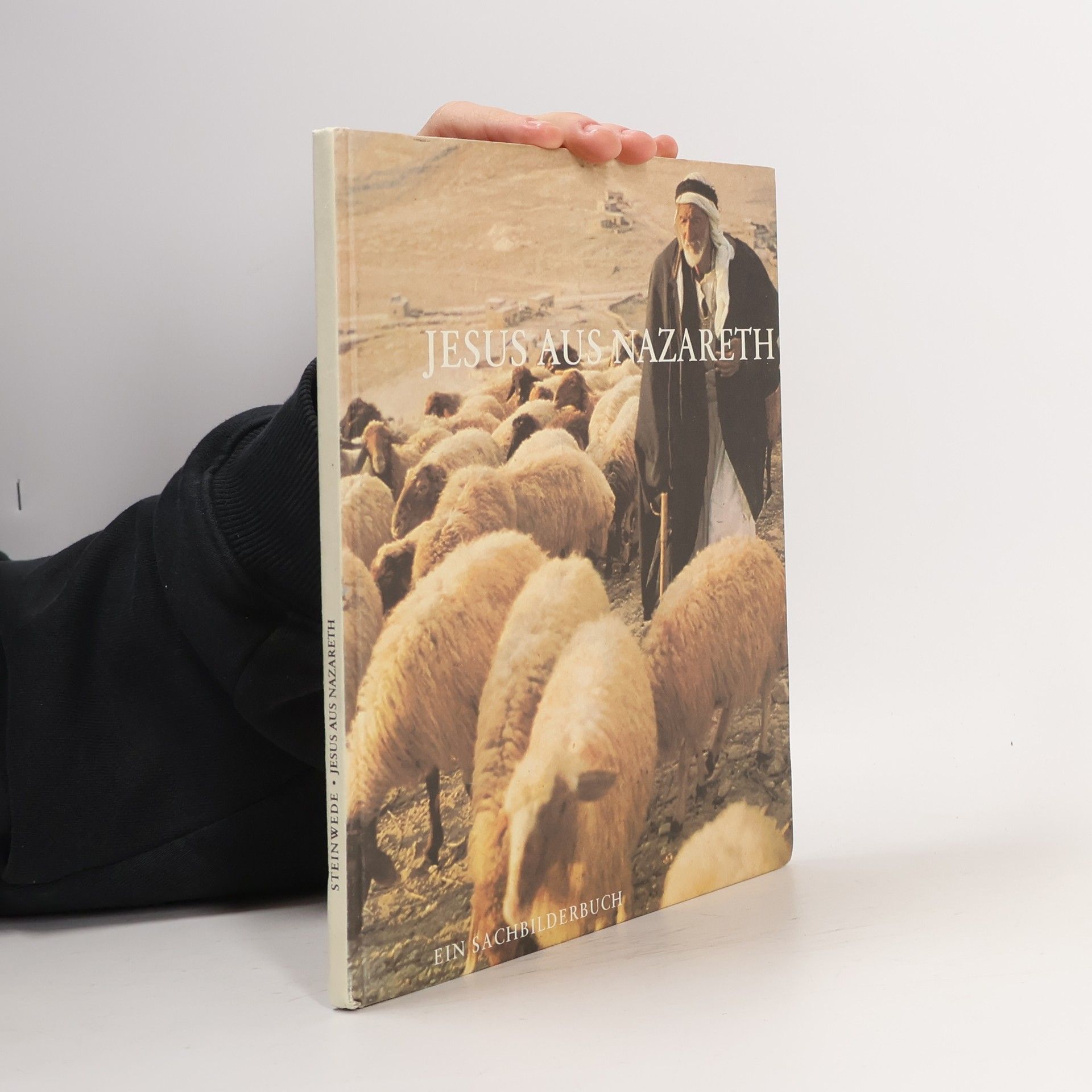 Dietrich Stenwede Jesus aus Nazareth
