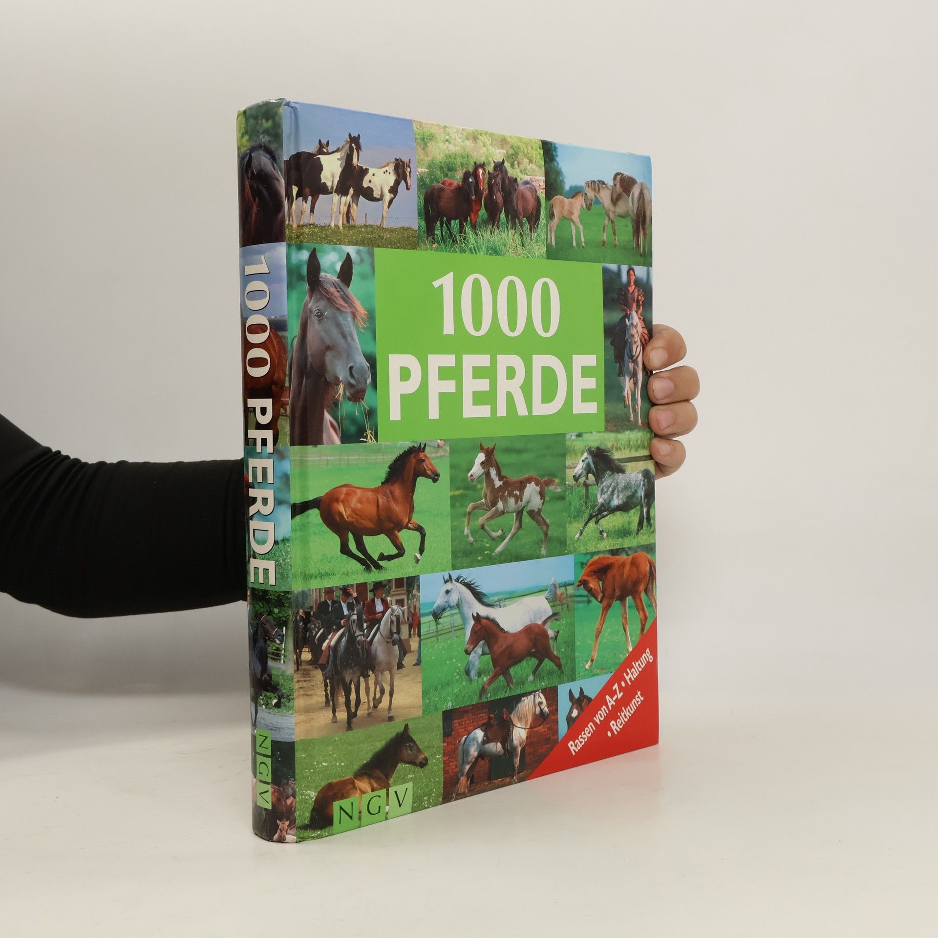 1000 Pferde