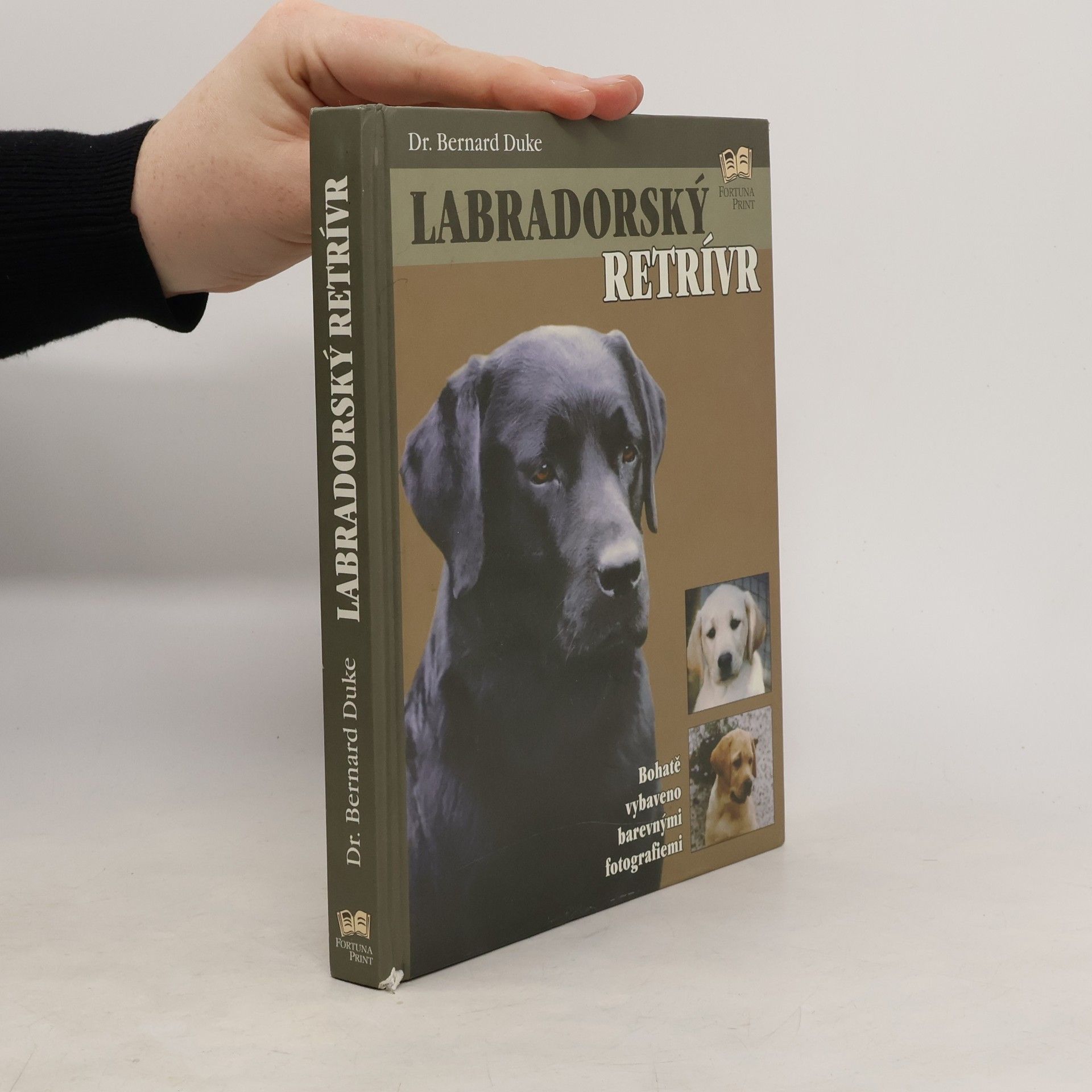 Labradorský retrívr