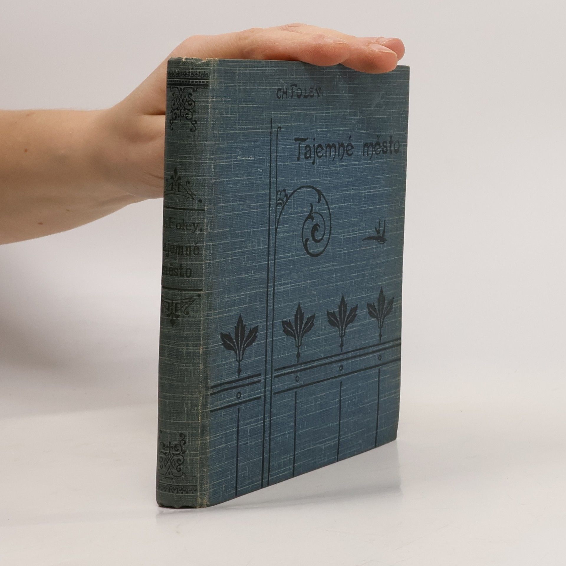 Charles Foley Tajemné město