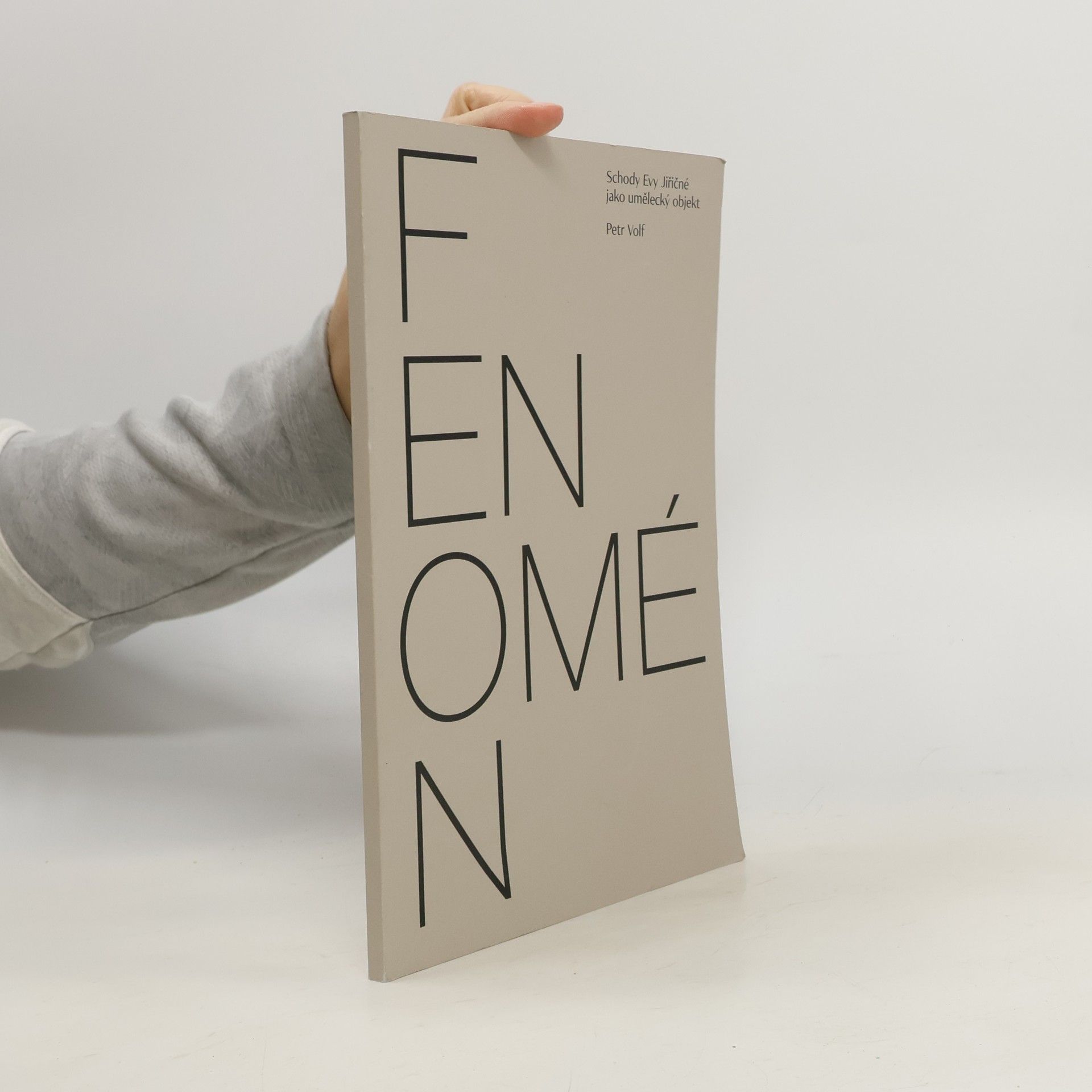 Fenomén : schody Evy Jiřičné jako umělecký objekt