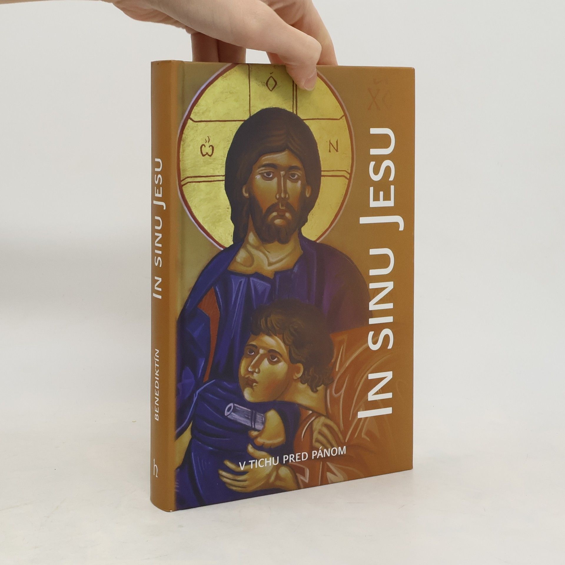 Kolektív autorov In sinu Jesu