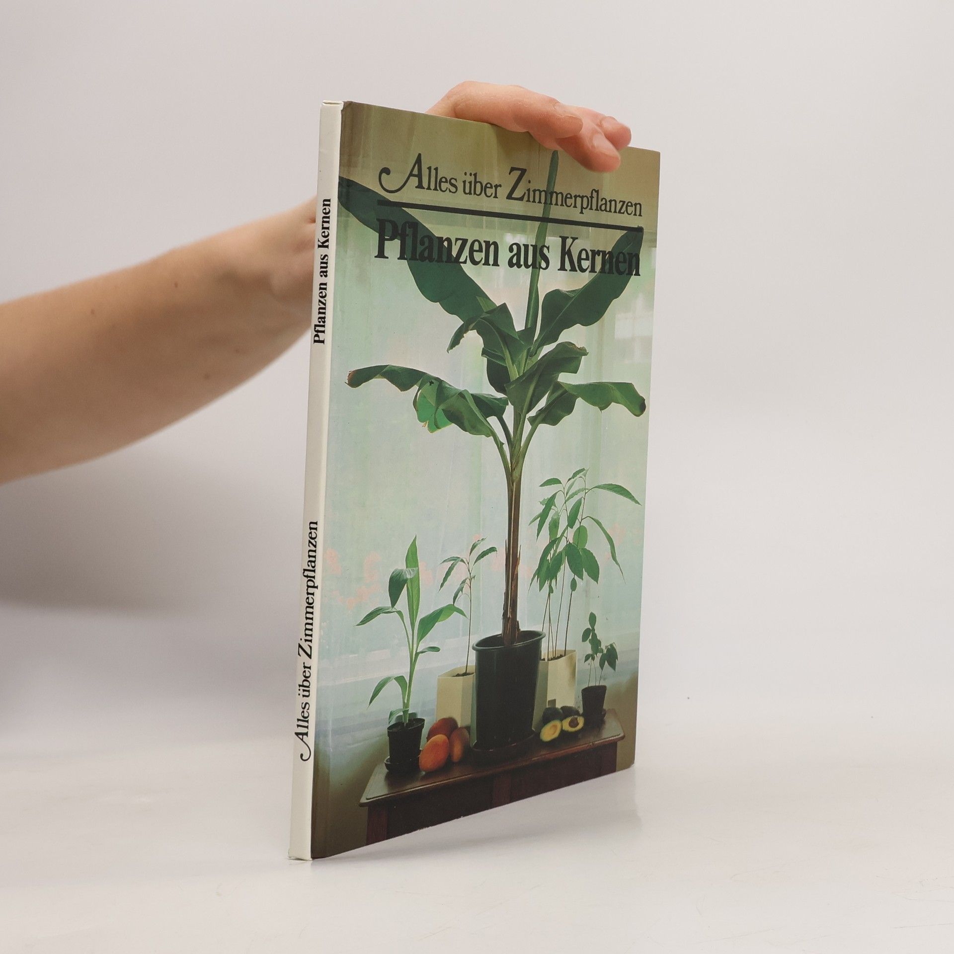 Collectif d'auteurs Pflanzen aus Kernen