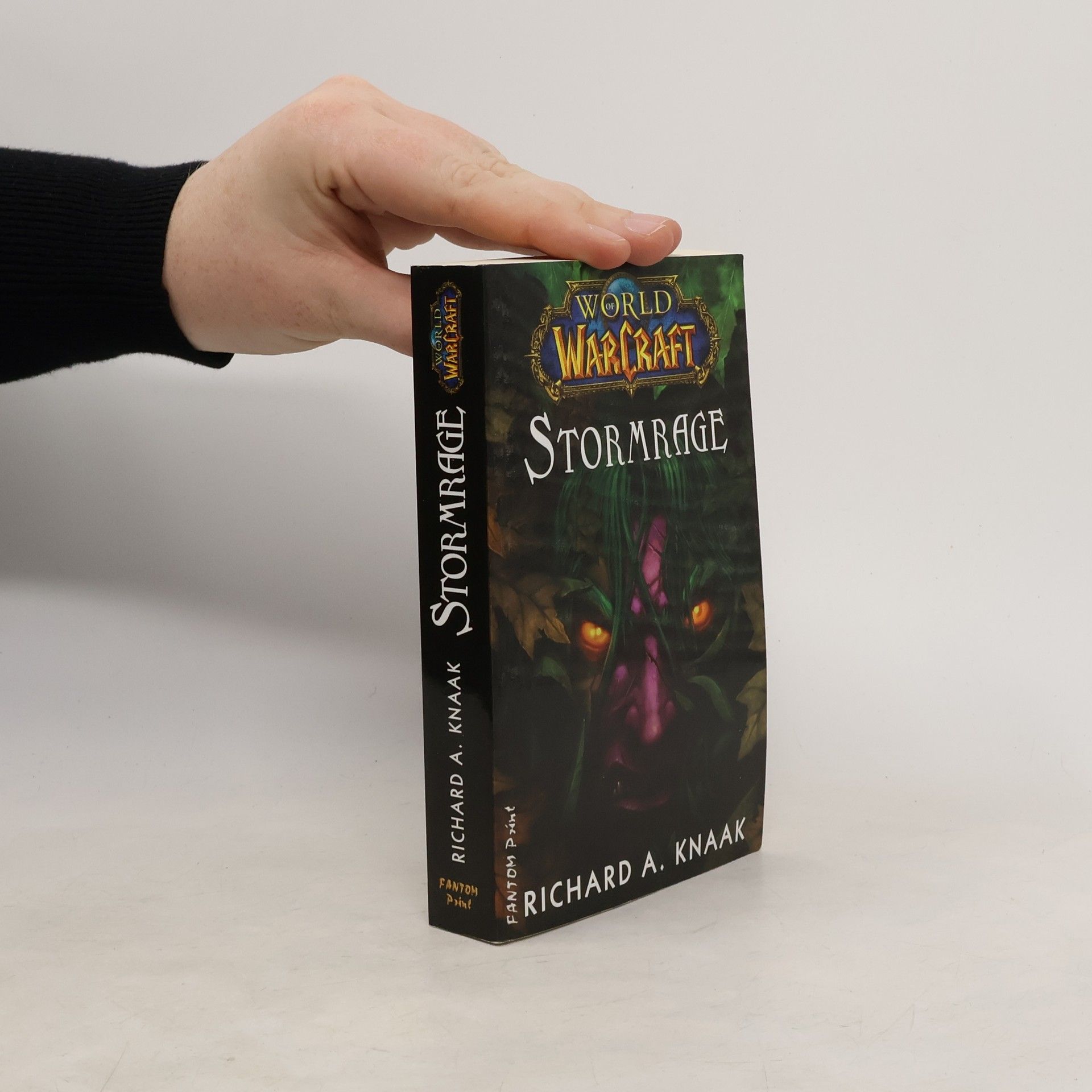 Richard A. Knaak Stormrage