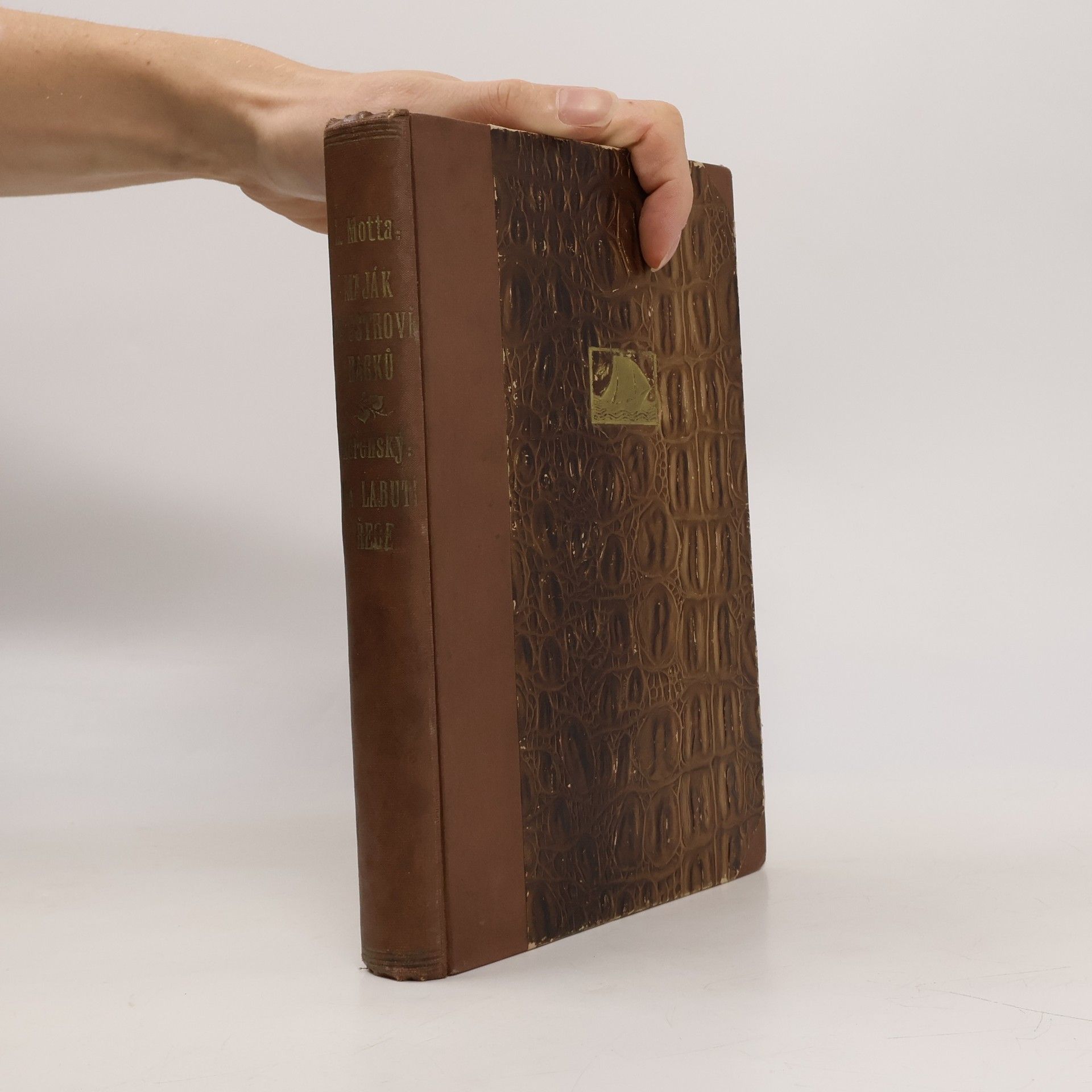 Motta Luigi Maják na ostrově racků