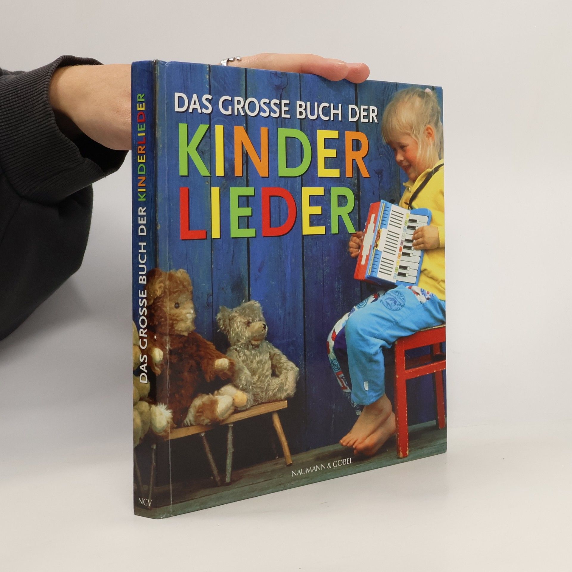 Das grosse Buch der Kinderlieder