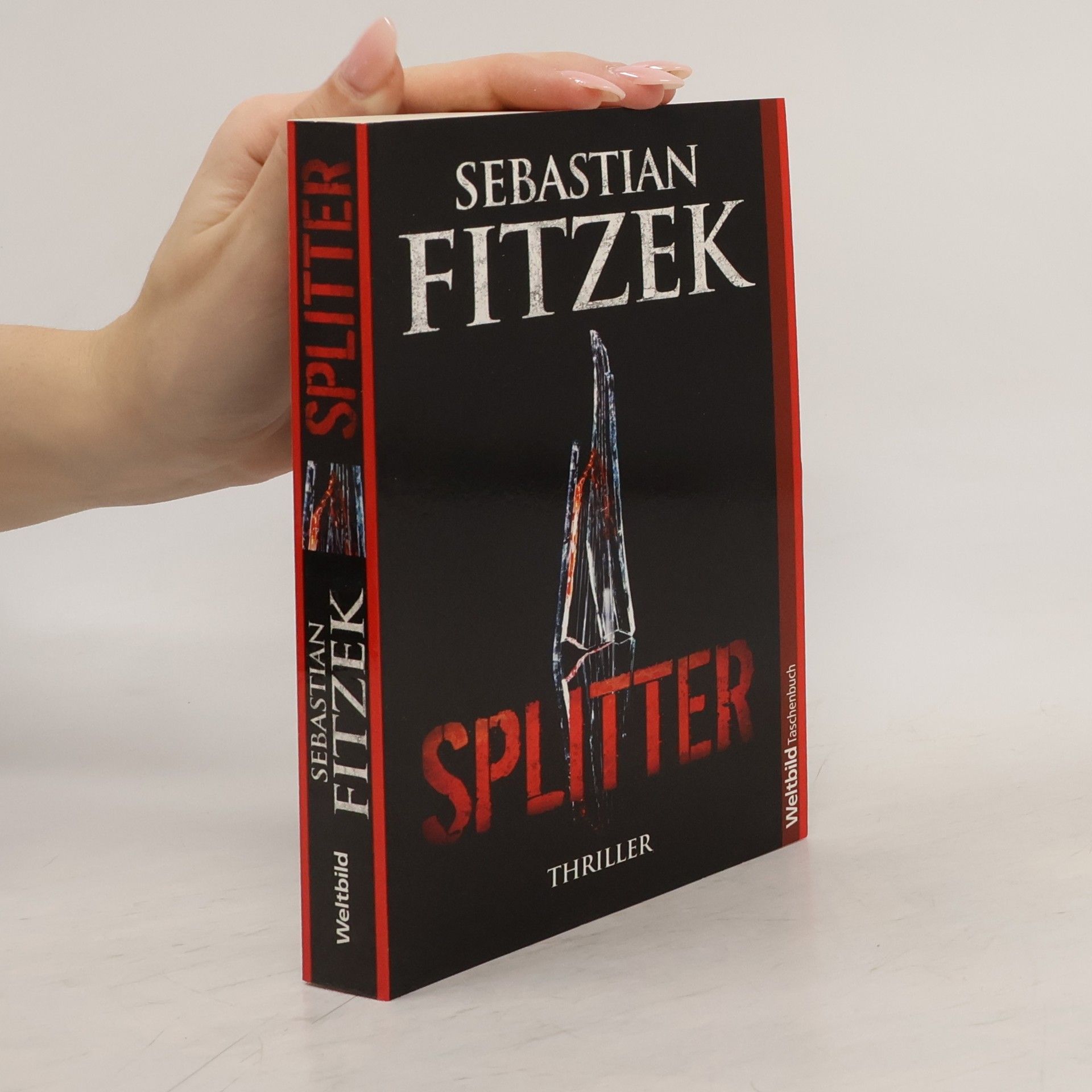 Sebastian Fitzek Splitter