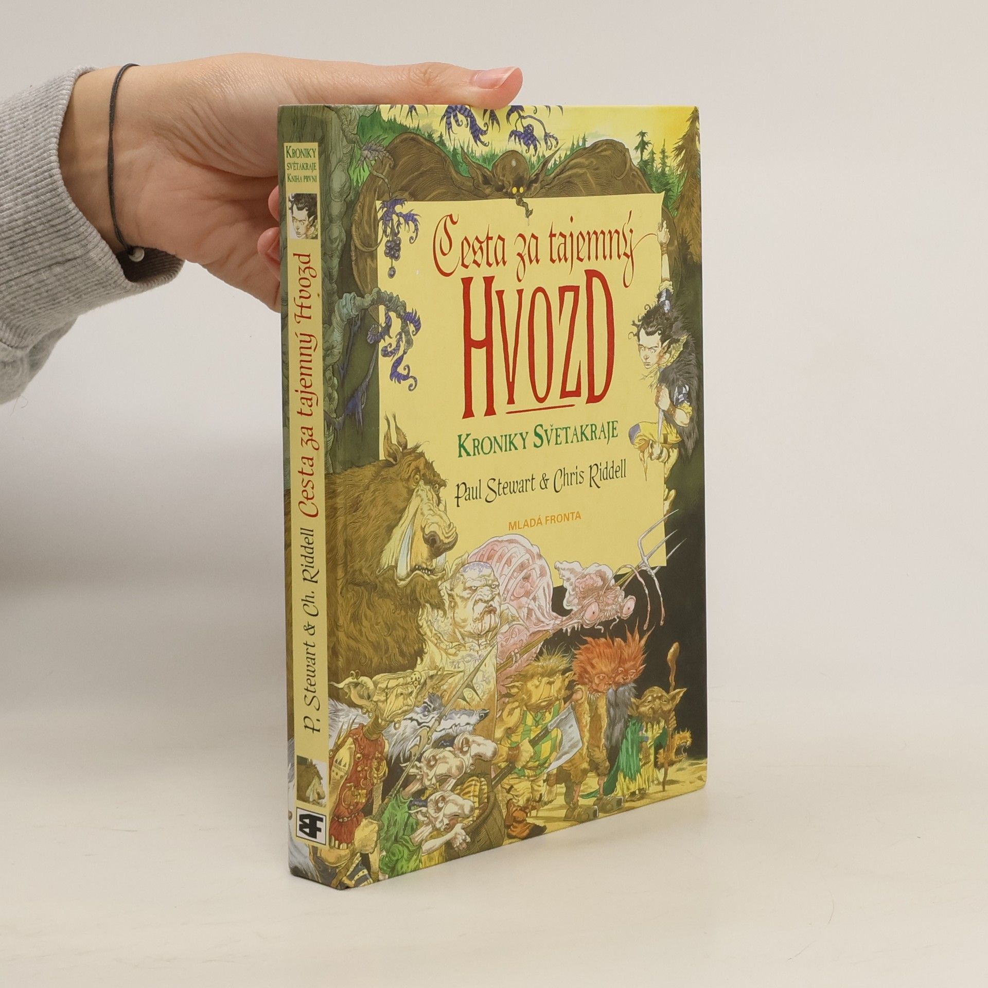 Paul Stewart Cesta za tajemný Hvozd. Kniha první