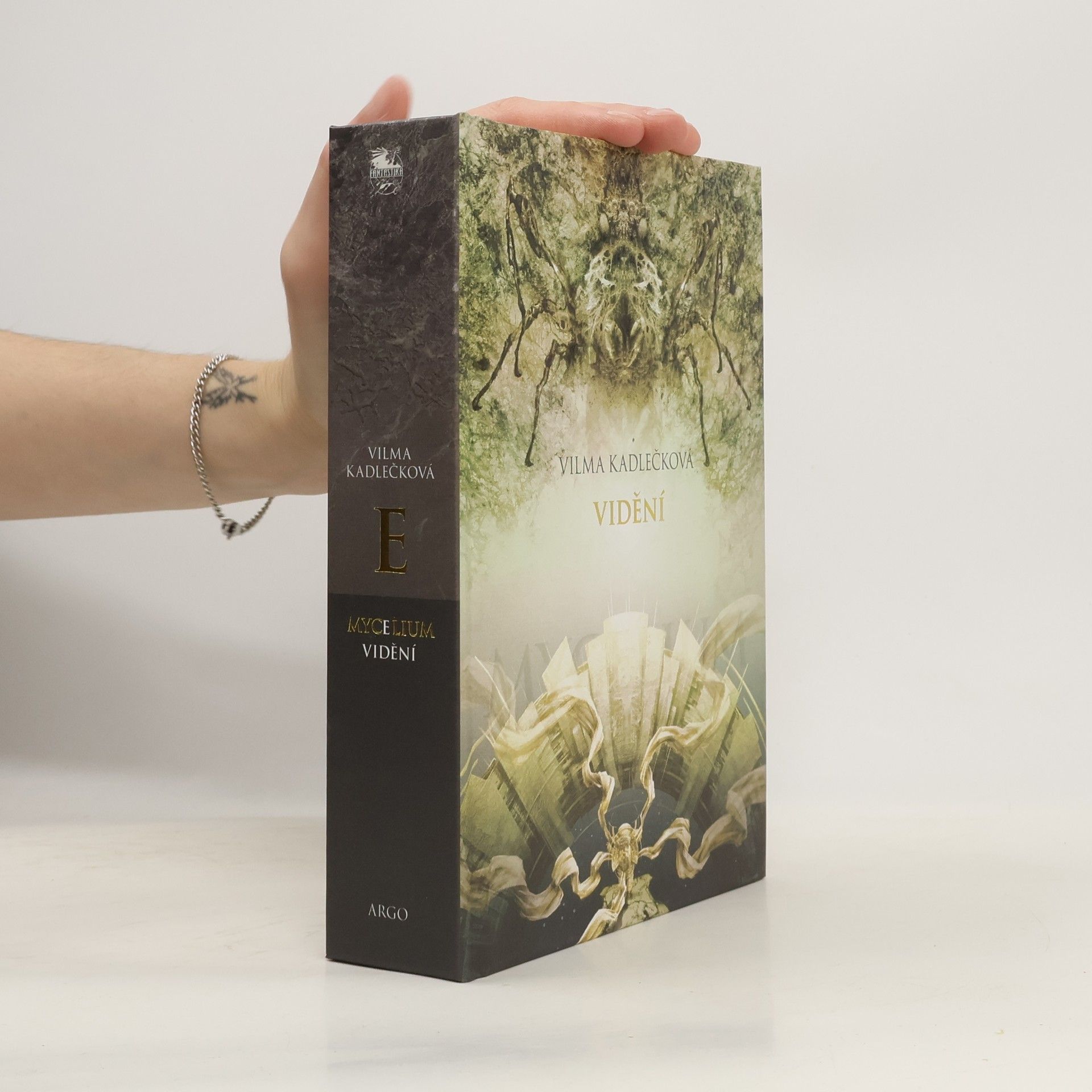 Vilma Kadlečková Mycelium. Vidění