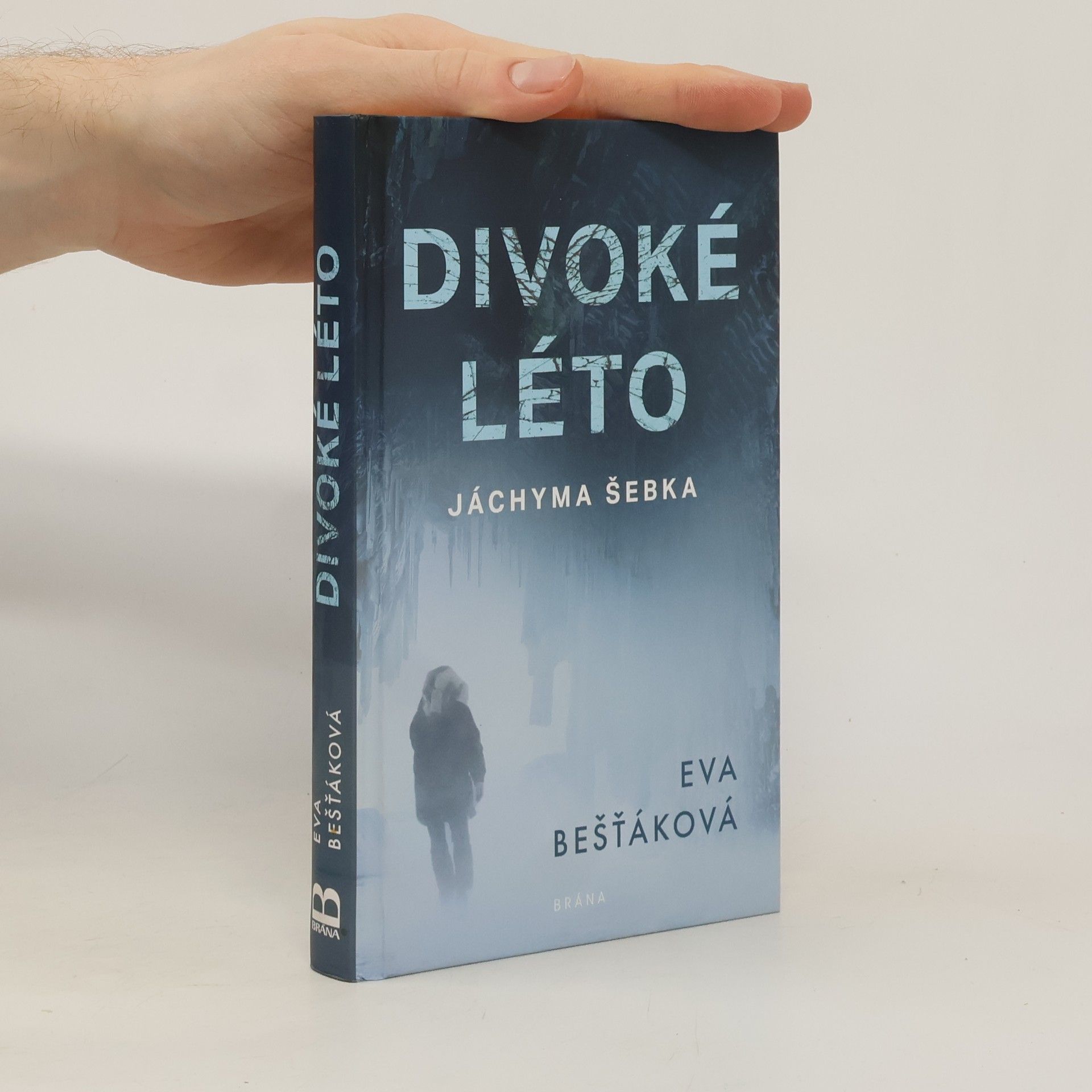 Eva Bešťáková Divoké léto Jáchyma Šebka