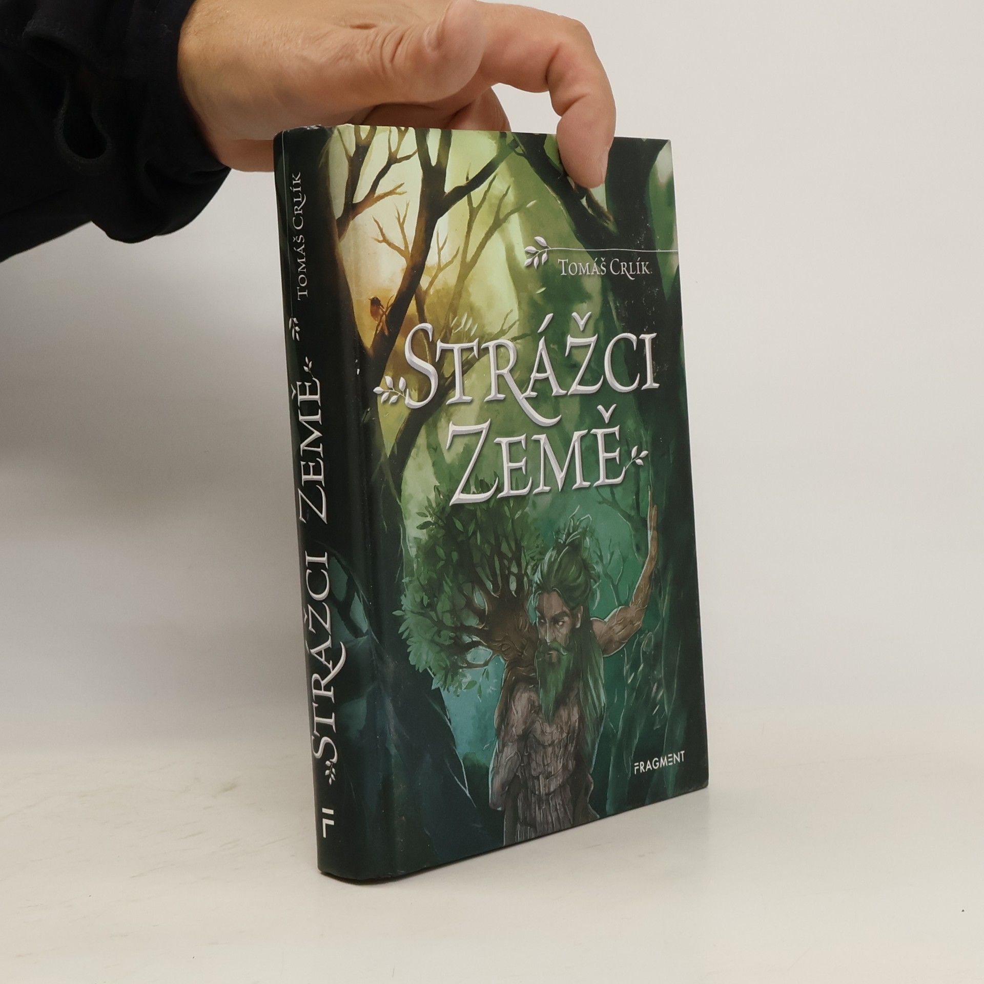 Ergall Strážci Země