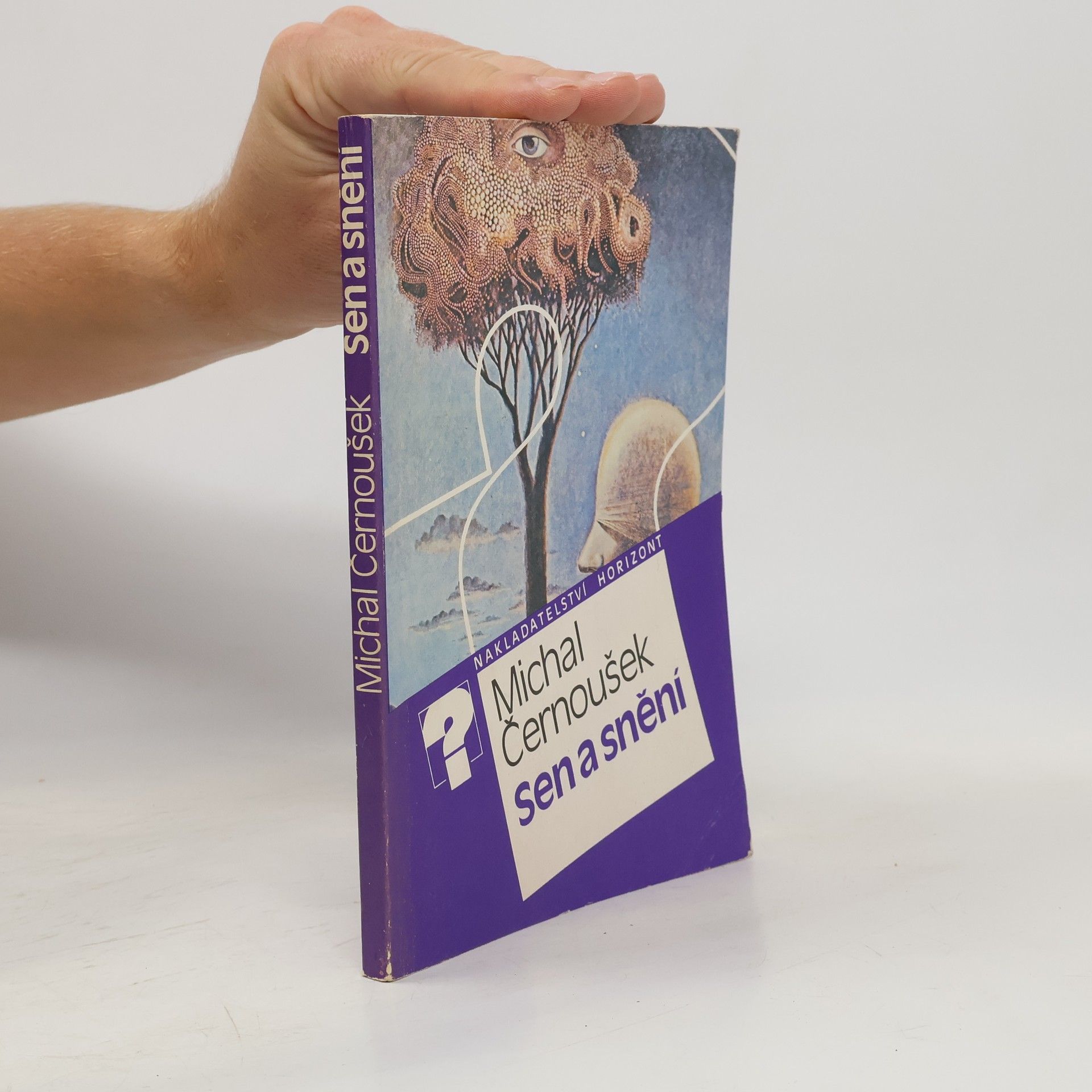 Michal Černoušek Sen a snění