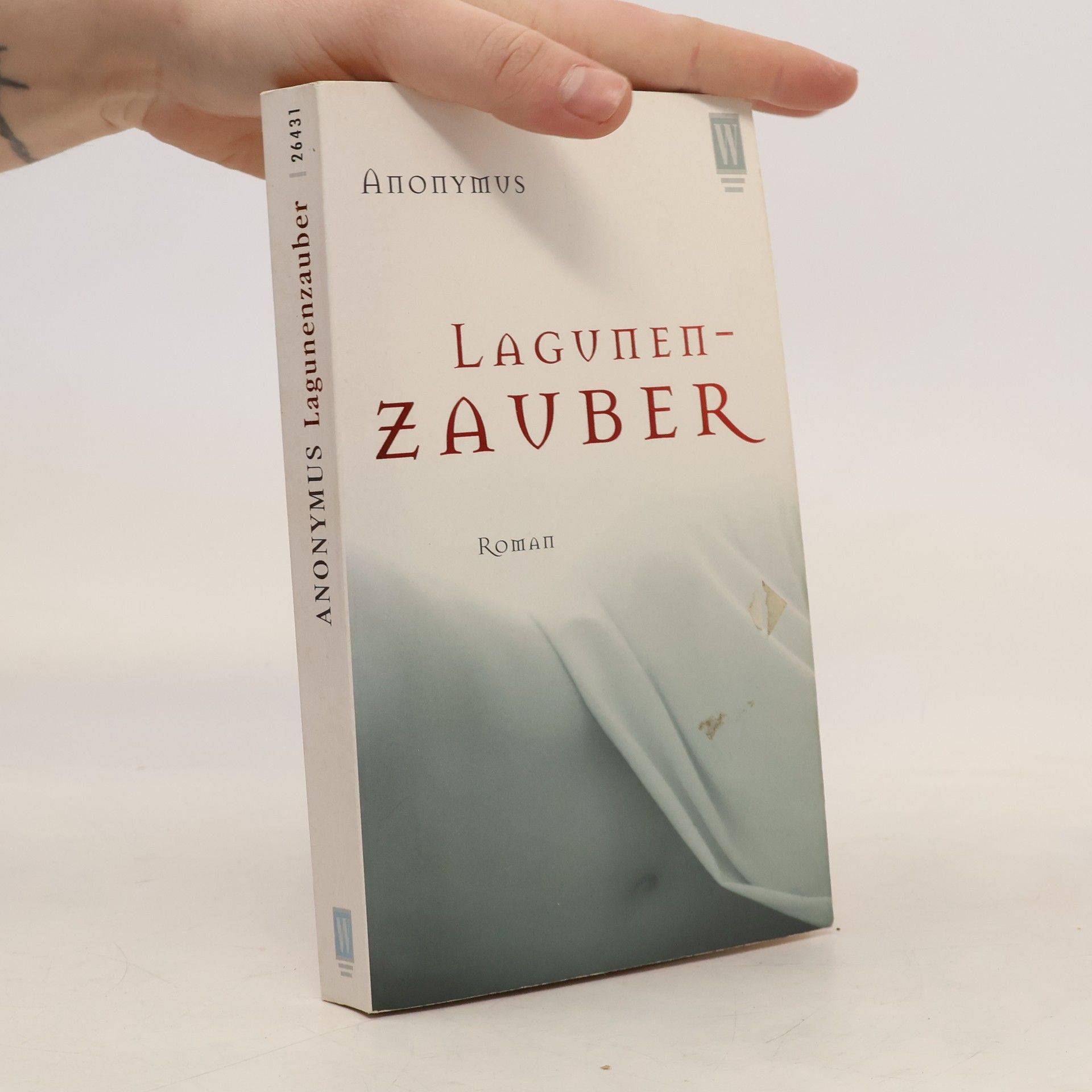 Lagunenzauber. Roman